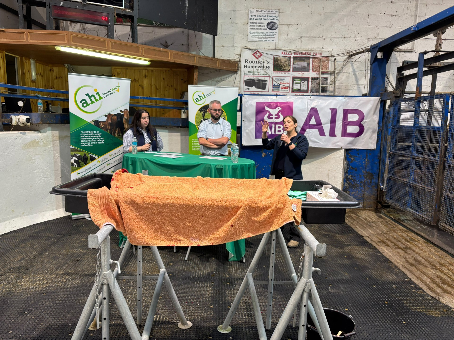 Pneumonia, worms and grass tetany top topics at AHI weanling health event