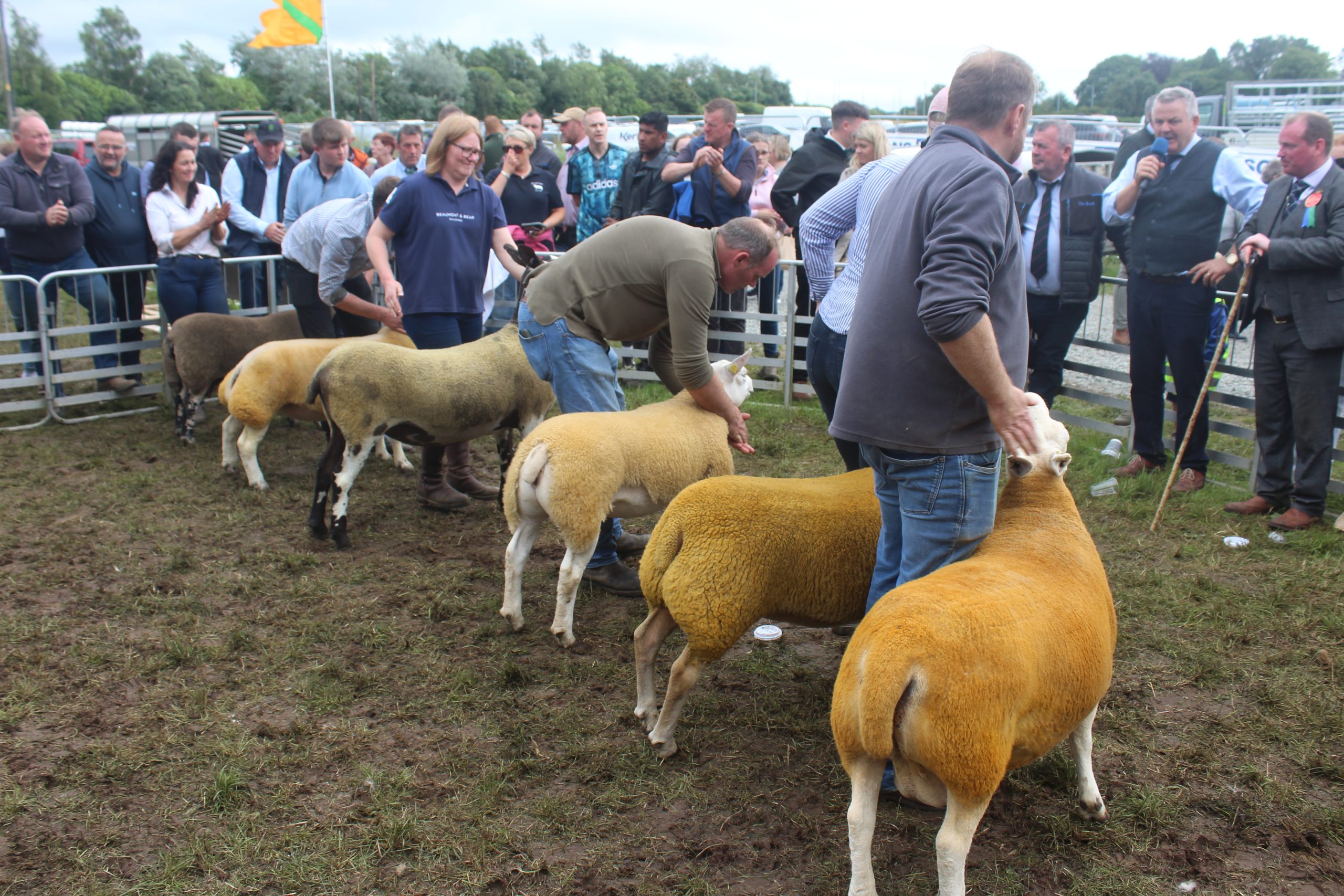 Six-in-a row for Crawford family at Omagh