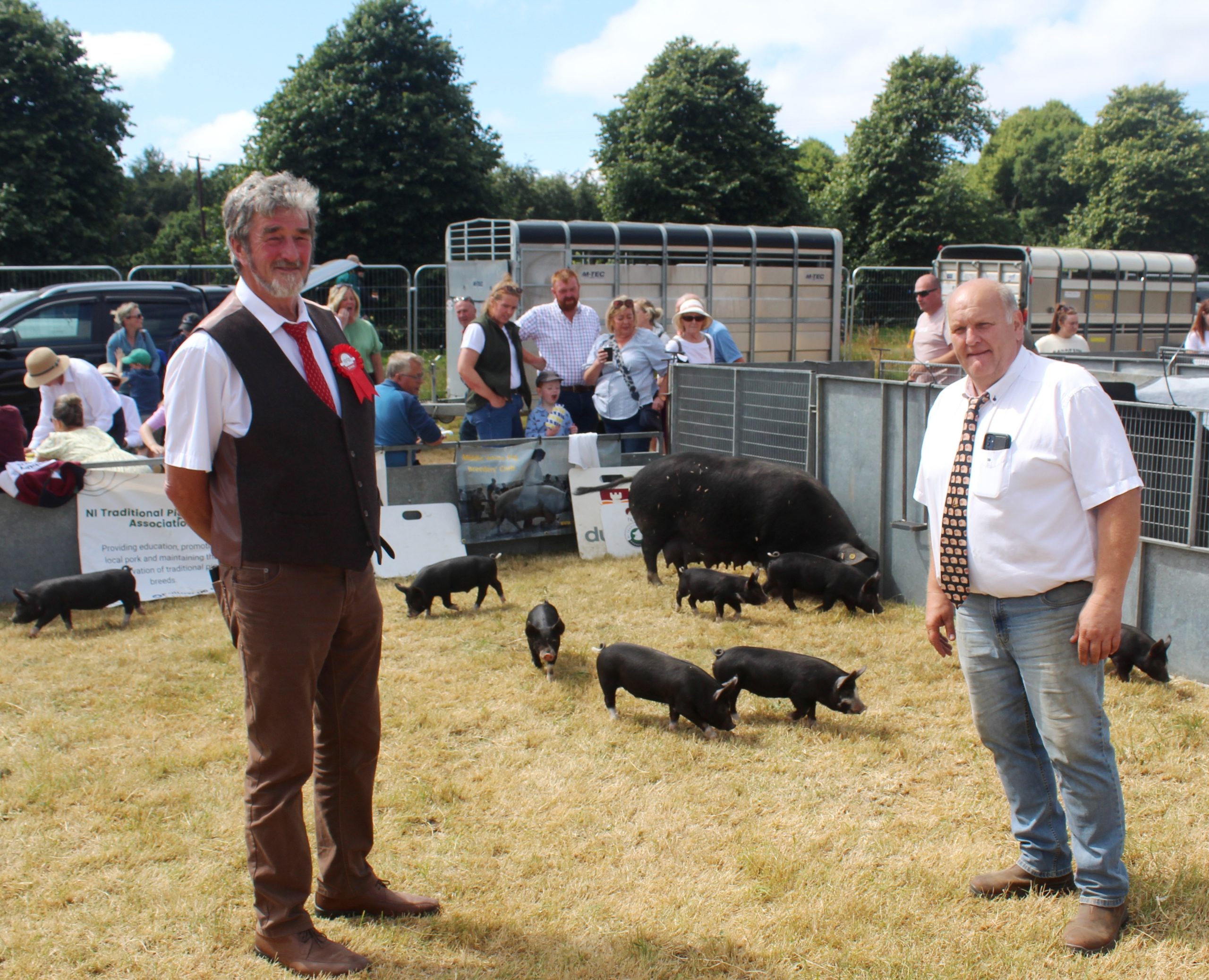 Traditional pig breeds take centre stage at Castlewellan Show 2026