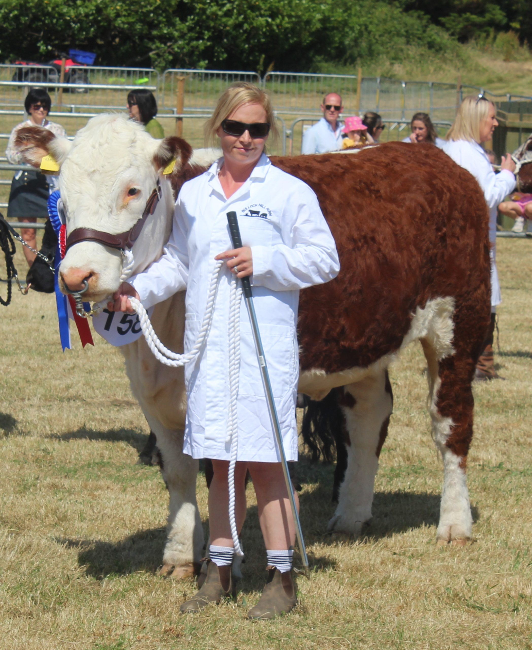 Holstein fifth calver earns plaudits at Castlewellan Show 2026