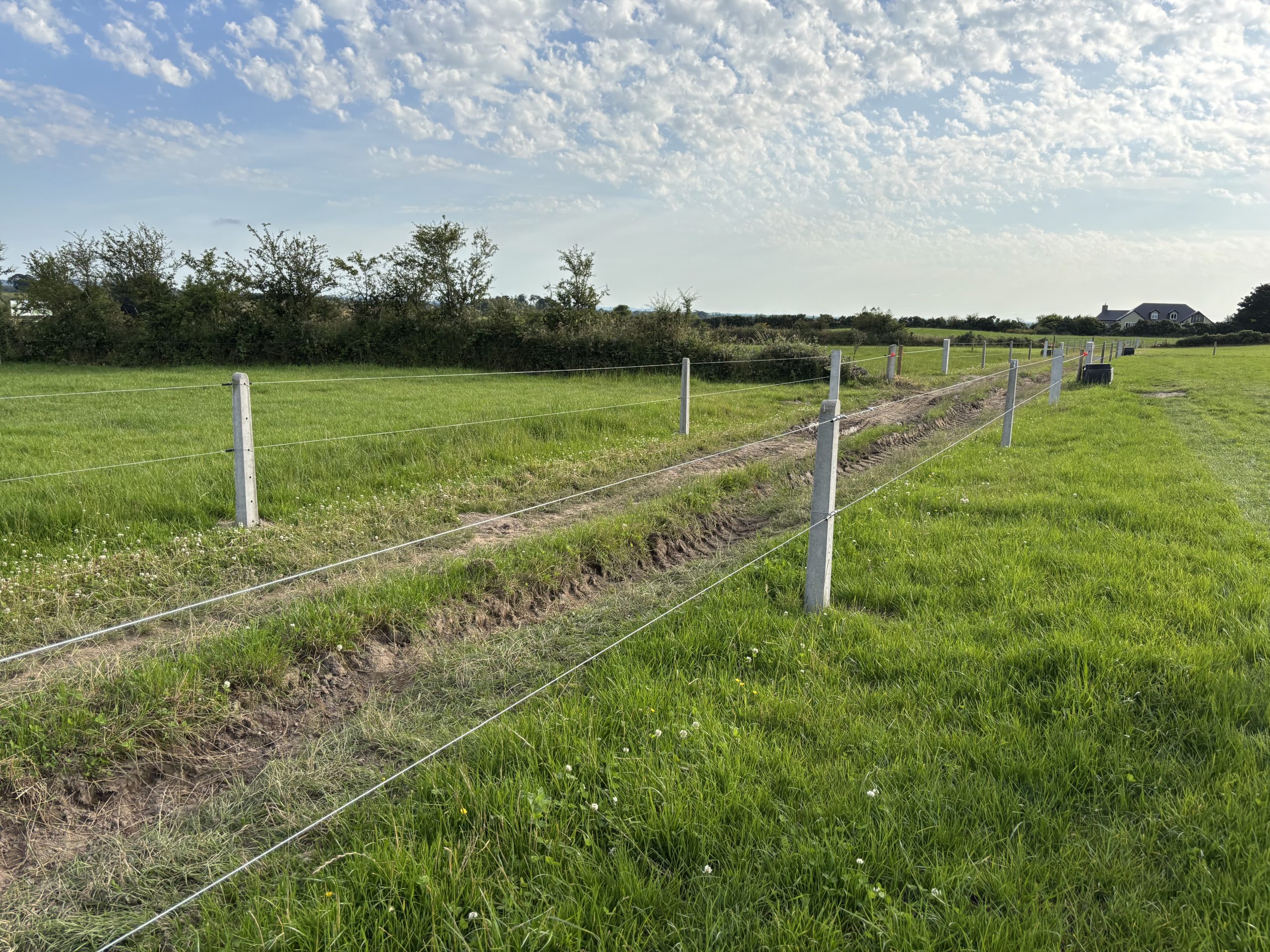 Tips for beef farmers setting up simple paddock-grazing systems