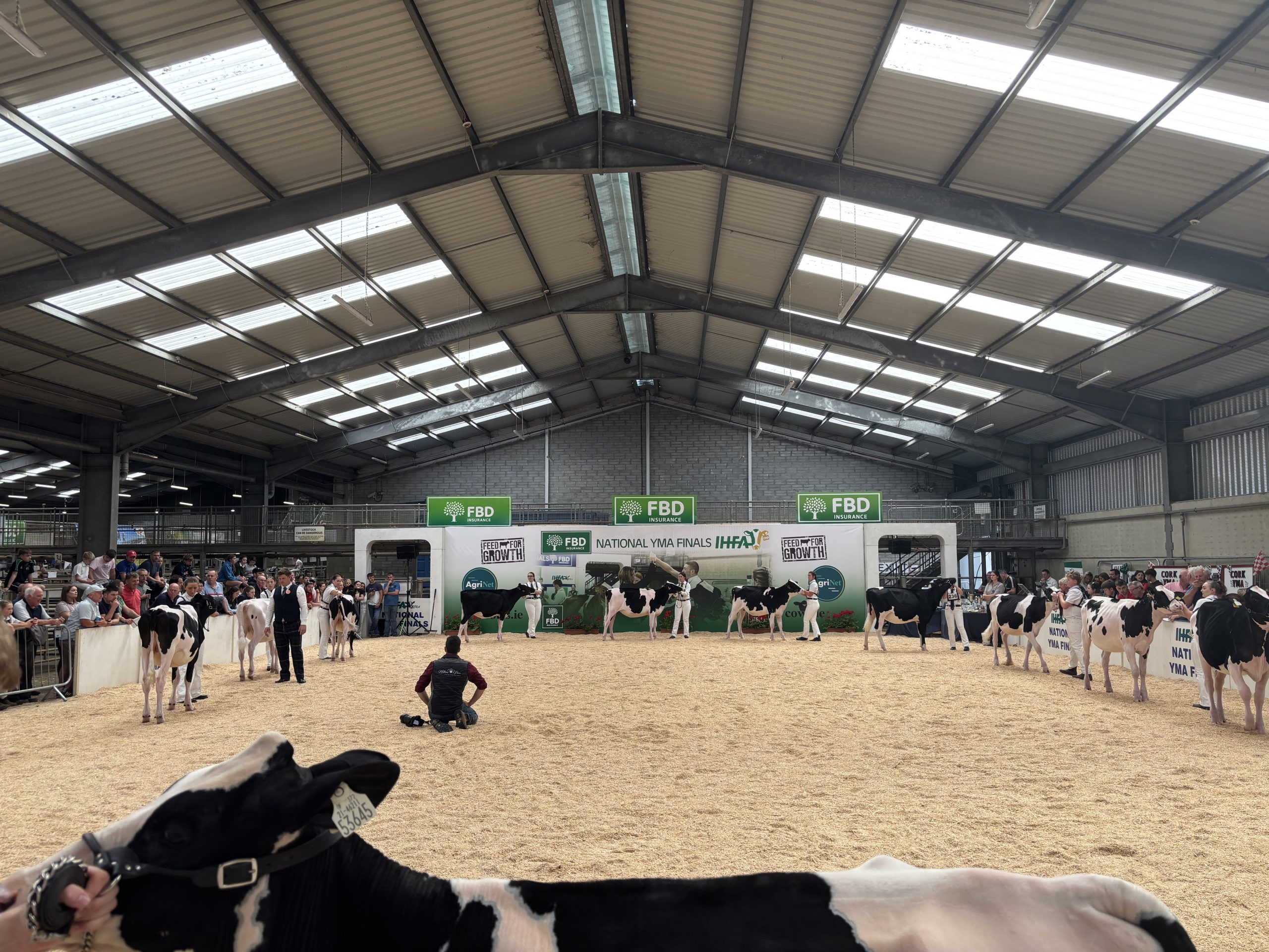 Watch: Highlights from FBD National YMA Finals