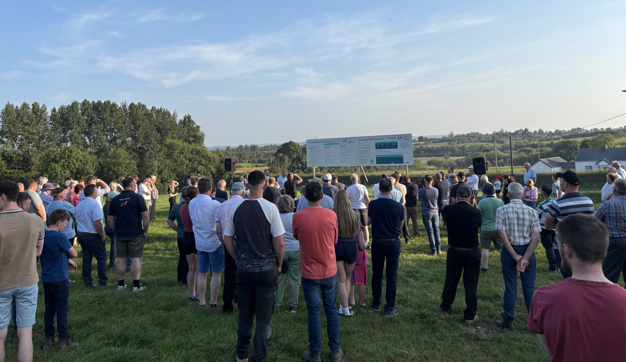 ‘What you don’t want to do is give a 5-star price for a 1-star calf’ – ICBF