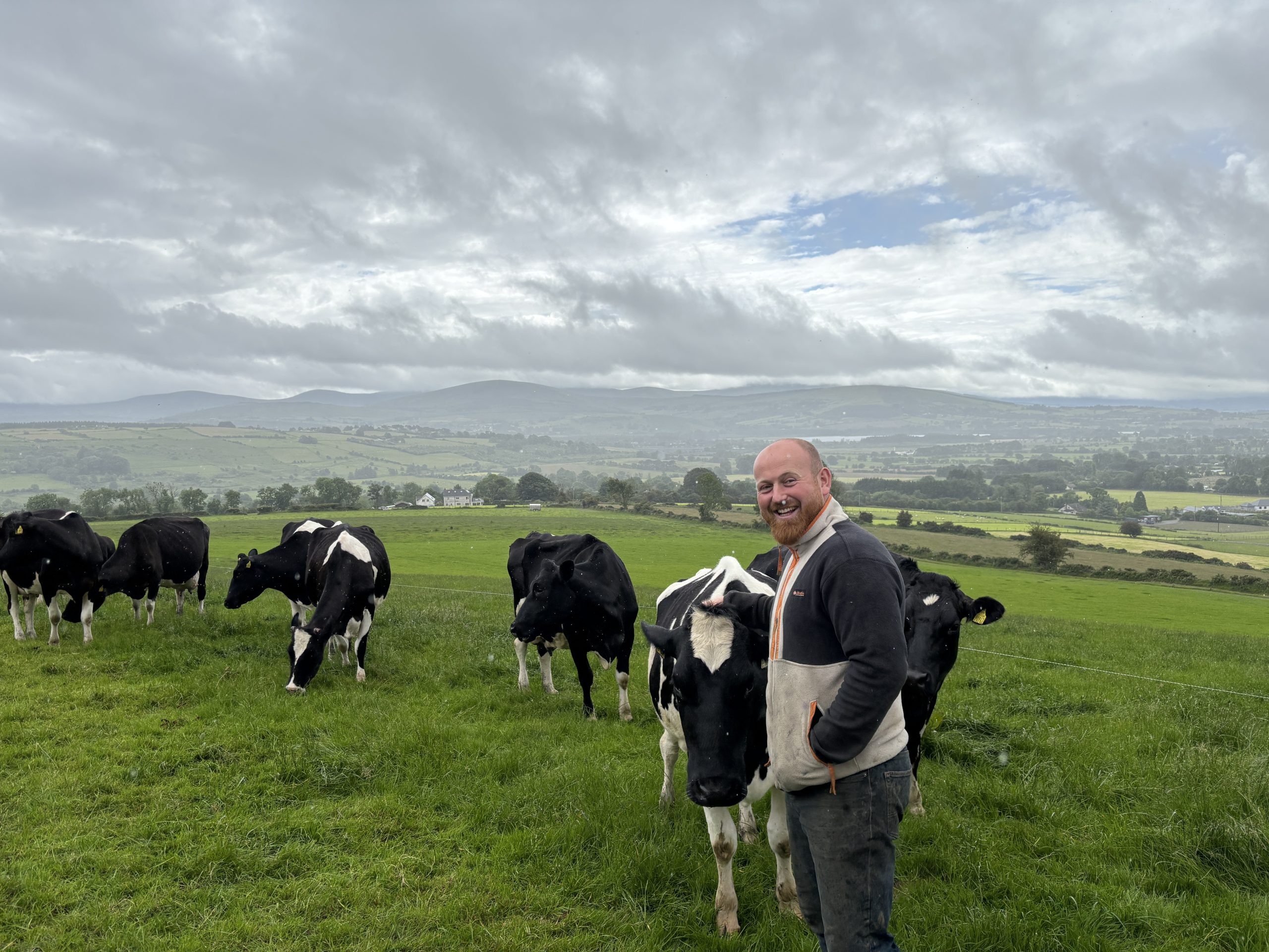 Dairy focus: 650kg MS/cow and infrastructure in Wicklow