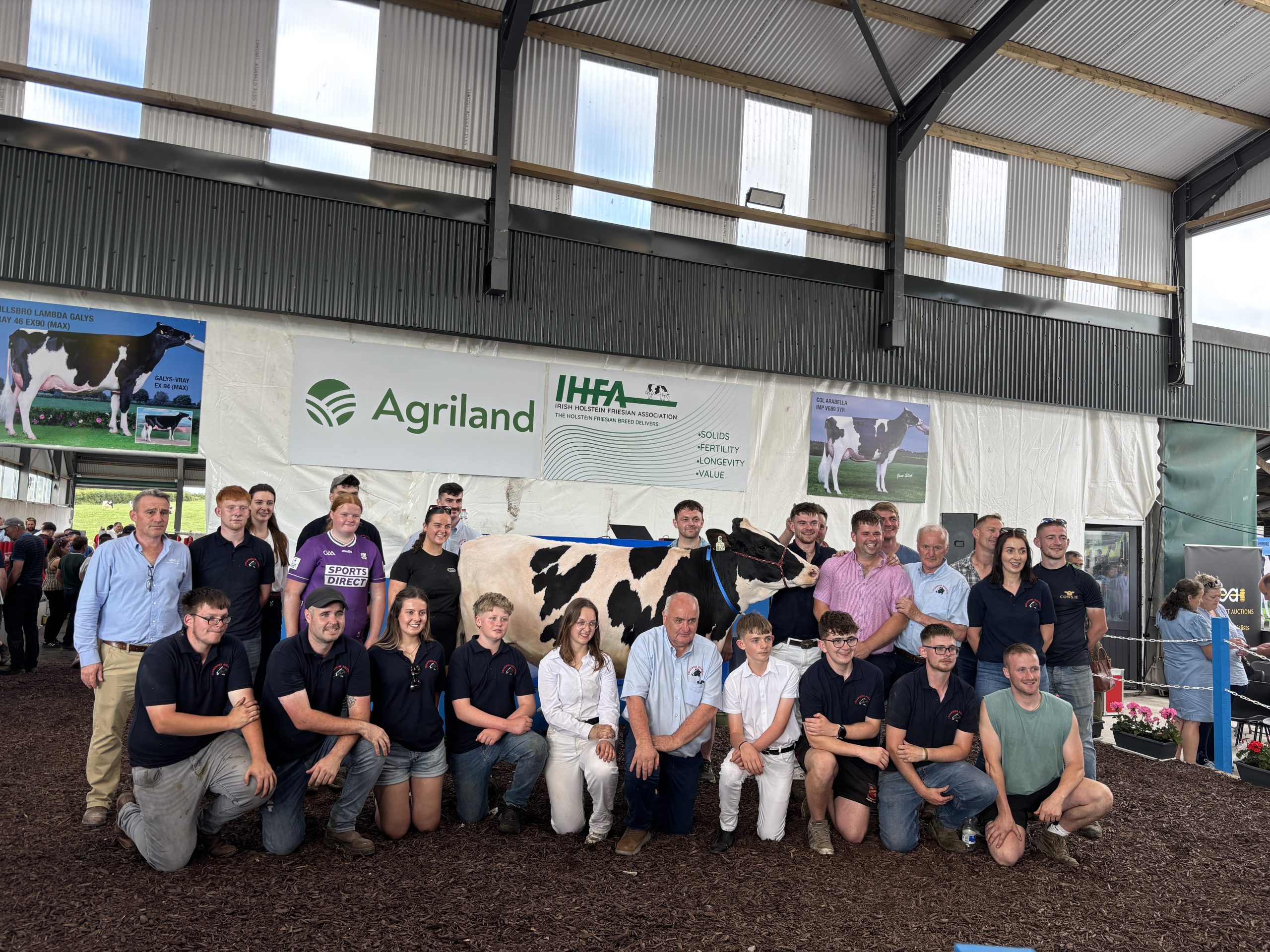 Top price of €16,200 at Breeder’s Dream Sale