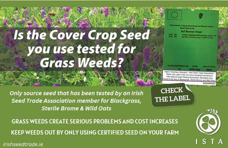 Now’s the time to think about seed