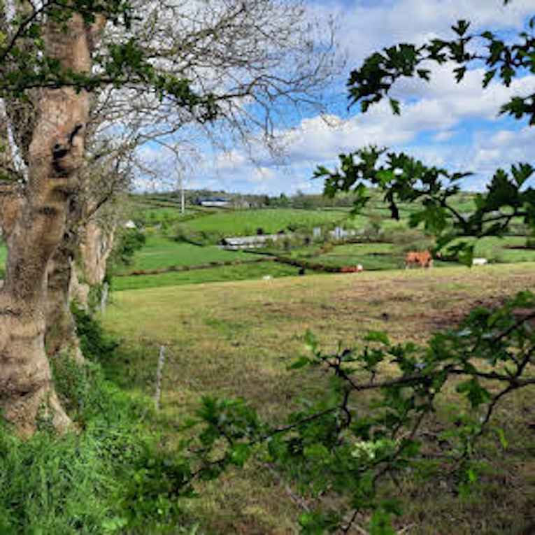 Farming life stories spill over into second collection by farmer