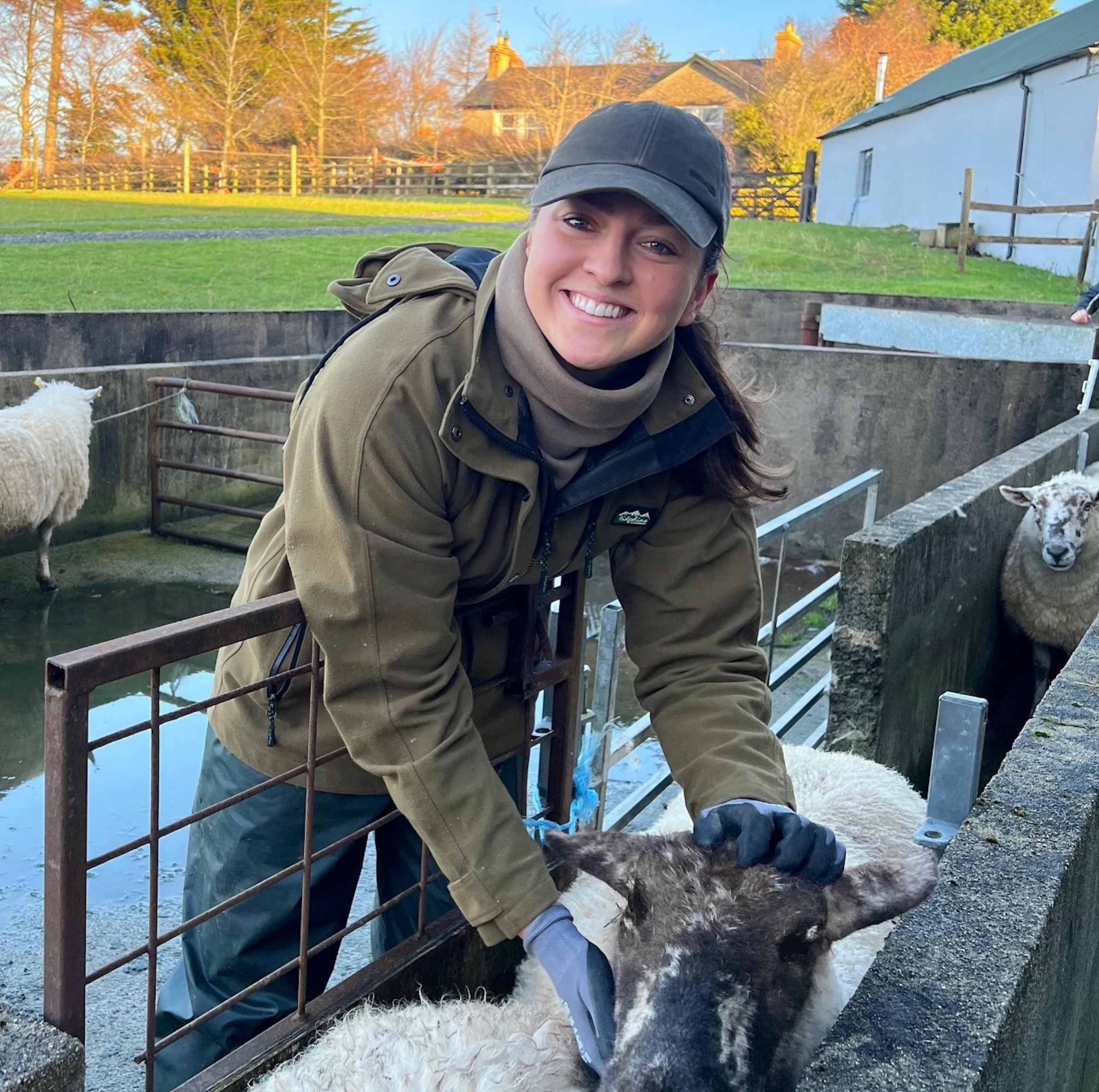 Next generation taking Millbank Farm in new direction