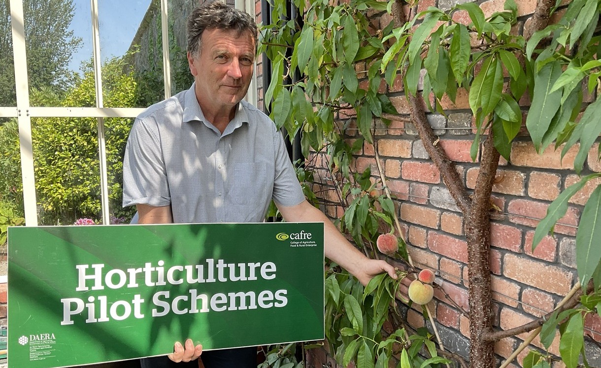 NI horticulture innovation scheme opens for expressions of interest