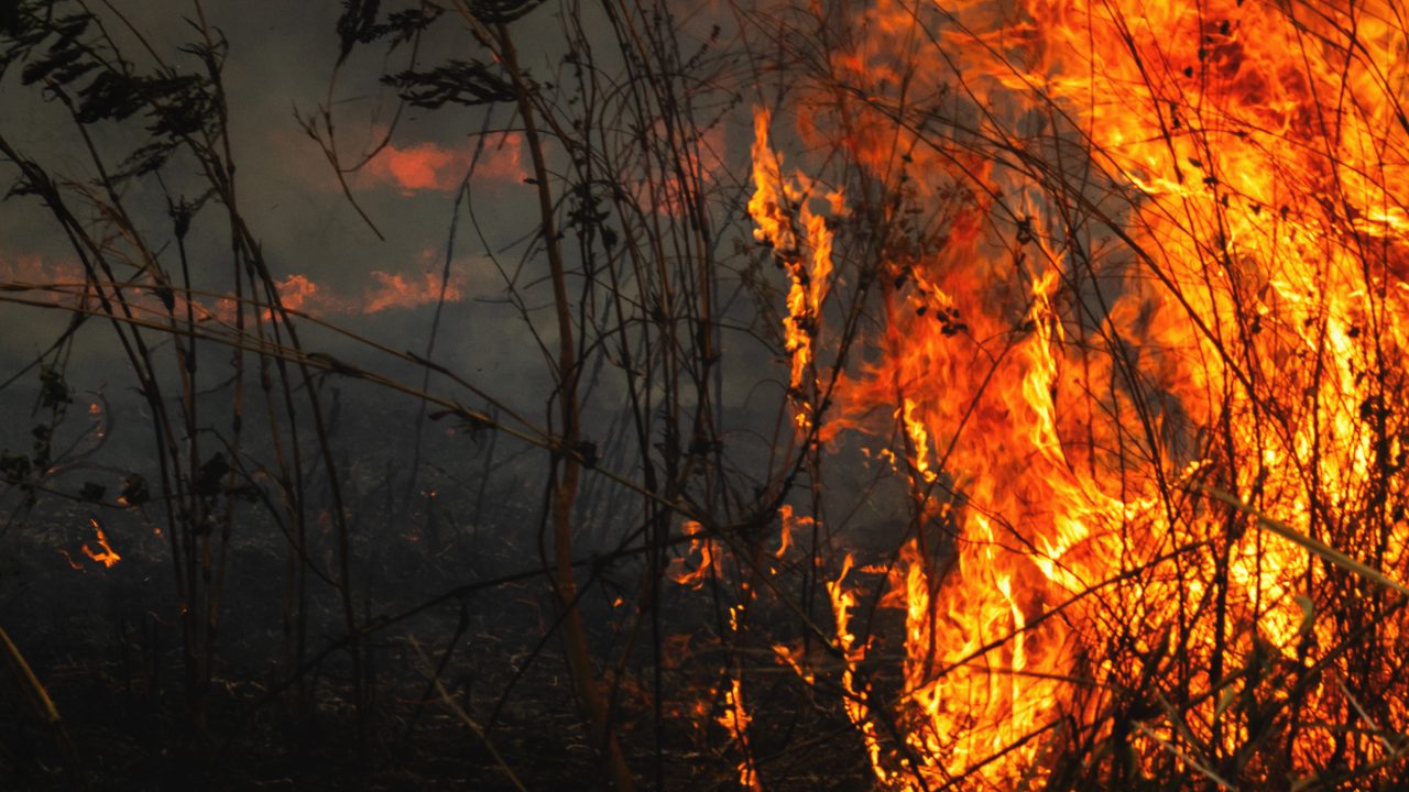 DAFM high fire risk warning extended into next week