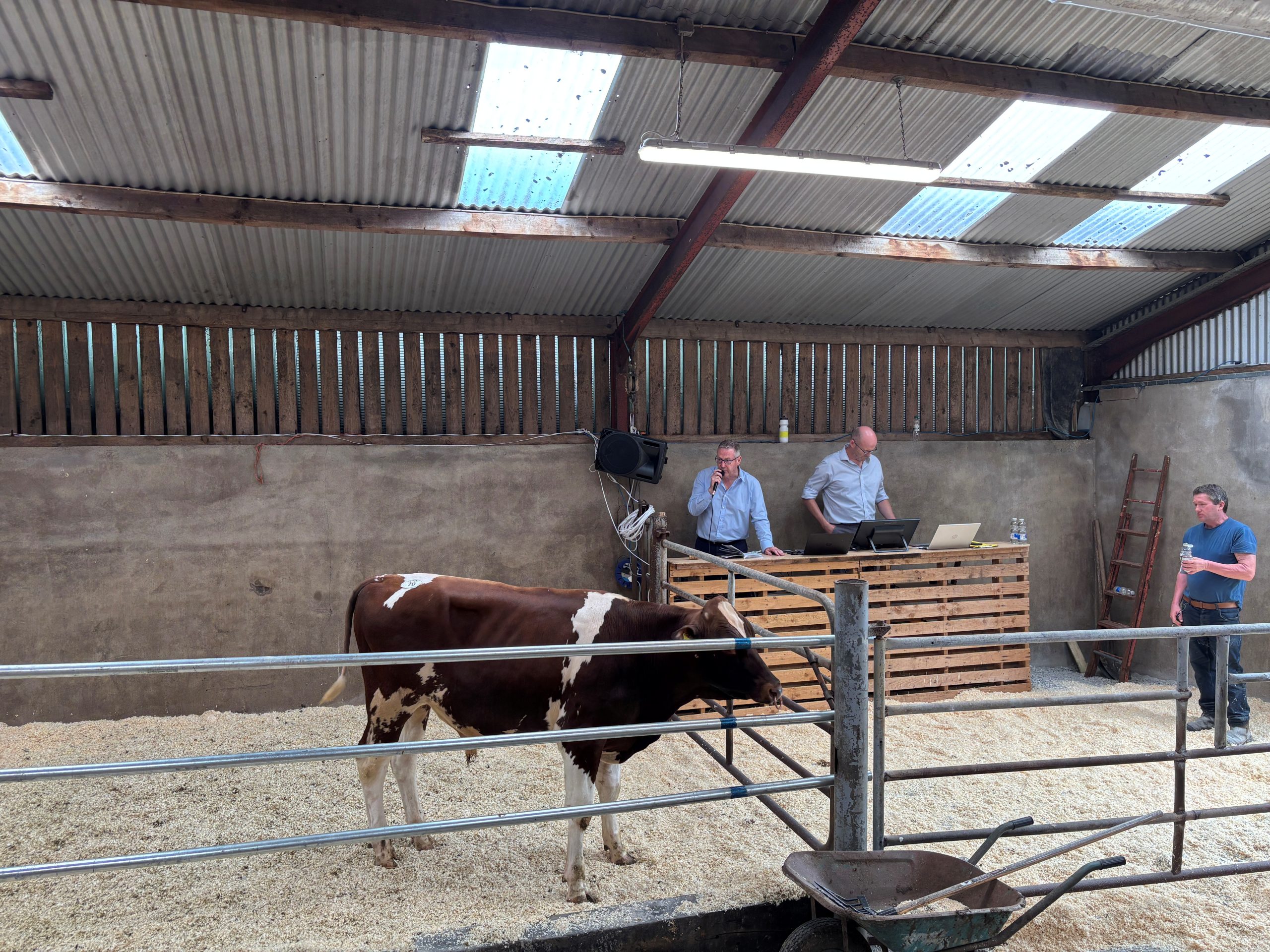 ‘Splash of Red’ sale sees €6,800 in Co. Limerick