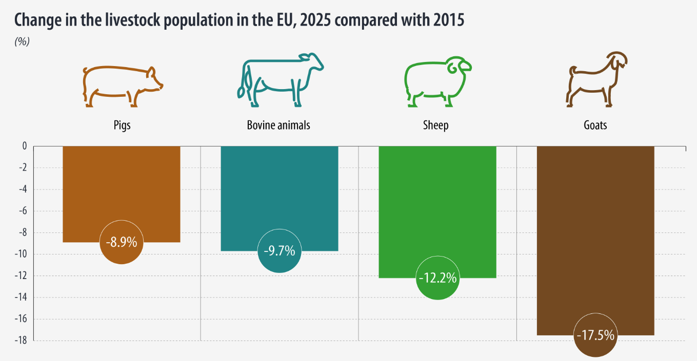 EU livestock numbers fall again in 2025 – Eurostat