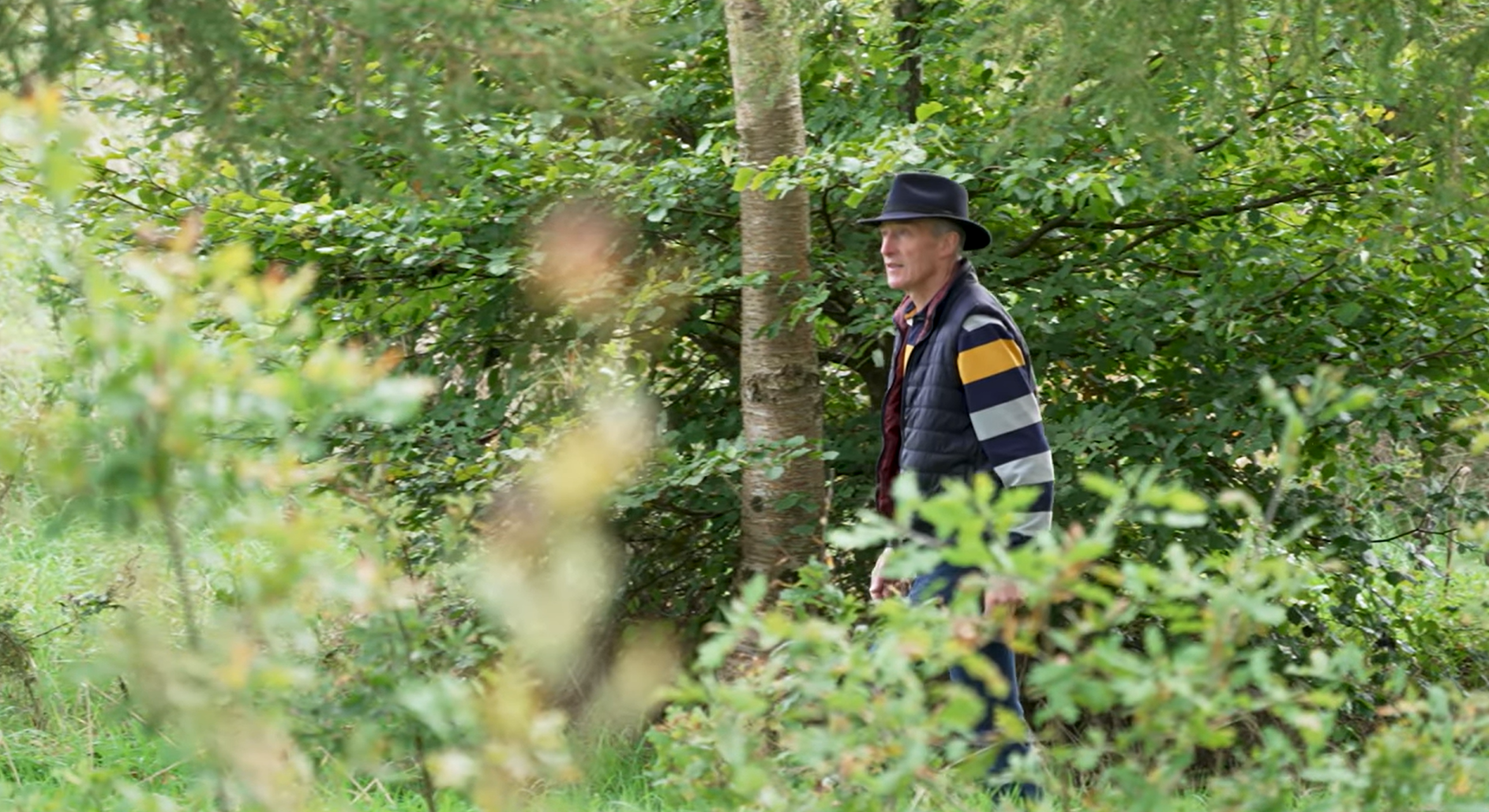 ‘Thinking of forestry, I’d definitely say go ahead’ – Westmeath beef farmer