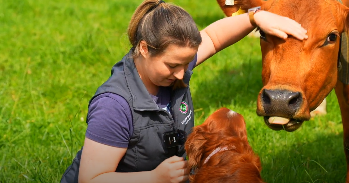 Watch: Groundbreakers – why this former nurse chose farming full-time