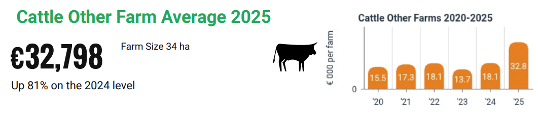 Farm Survey: Average income rose by 81% on cattle finishing farms