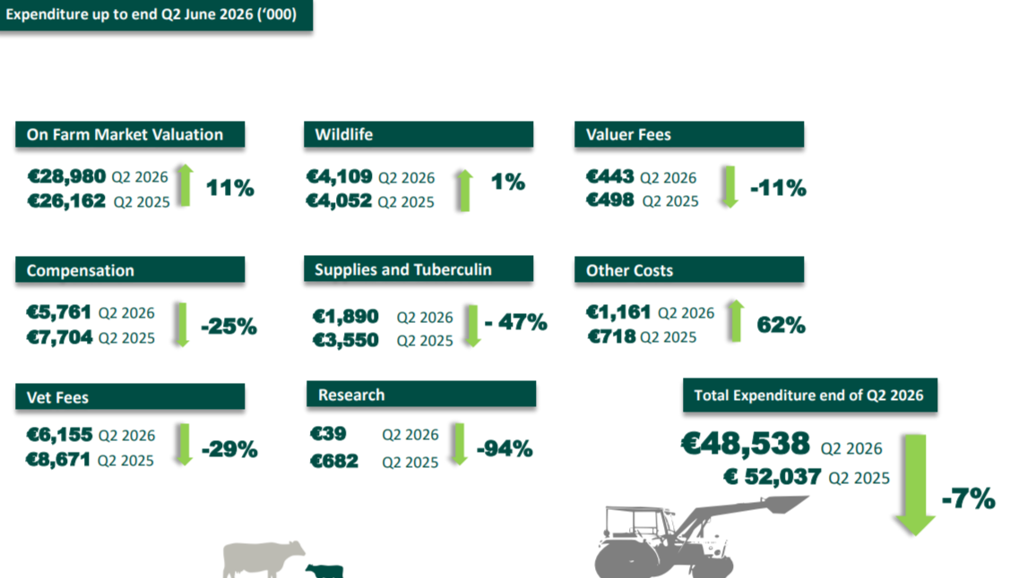Expenditure on TB hit €48.5m by end of Q2 2026