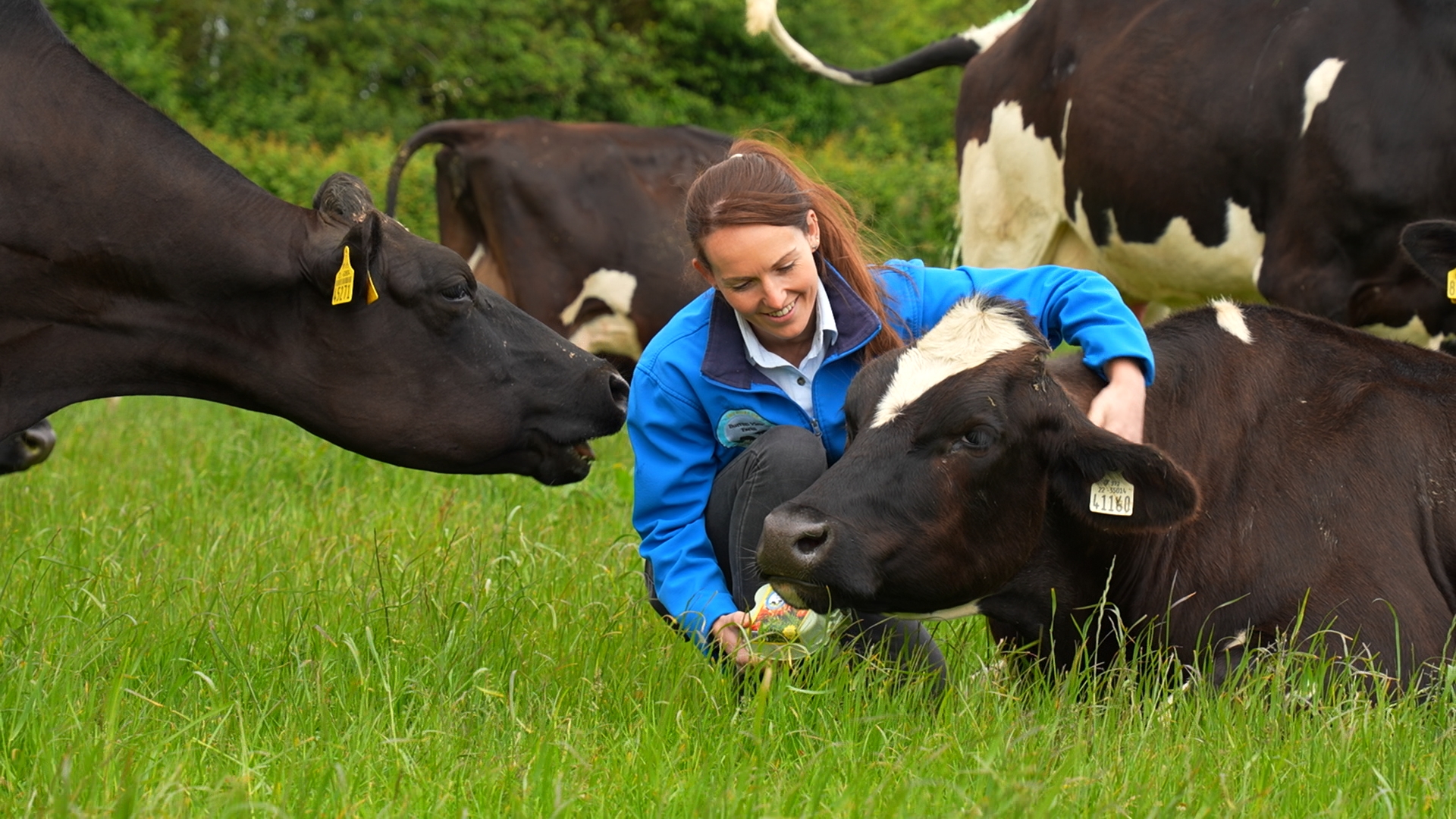 Watch: Groundbreakers – championing Ireland’s female farmers on world stage