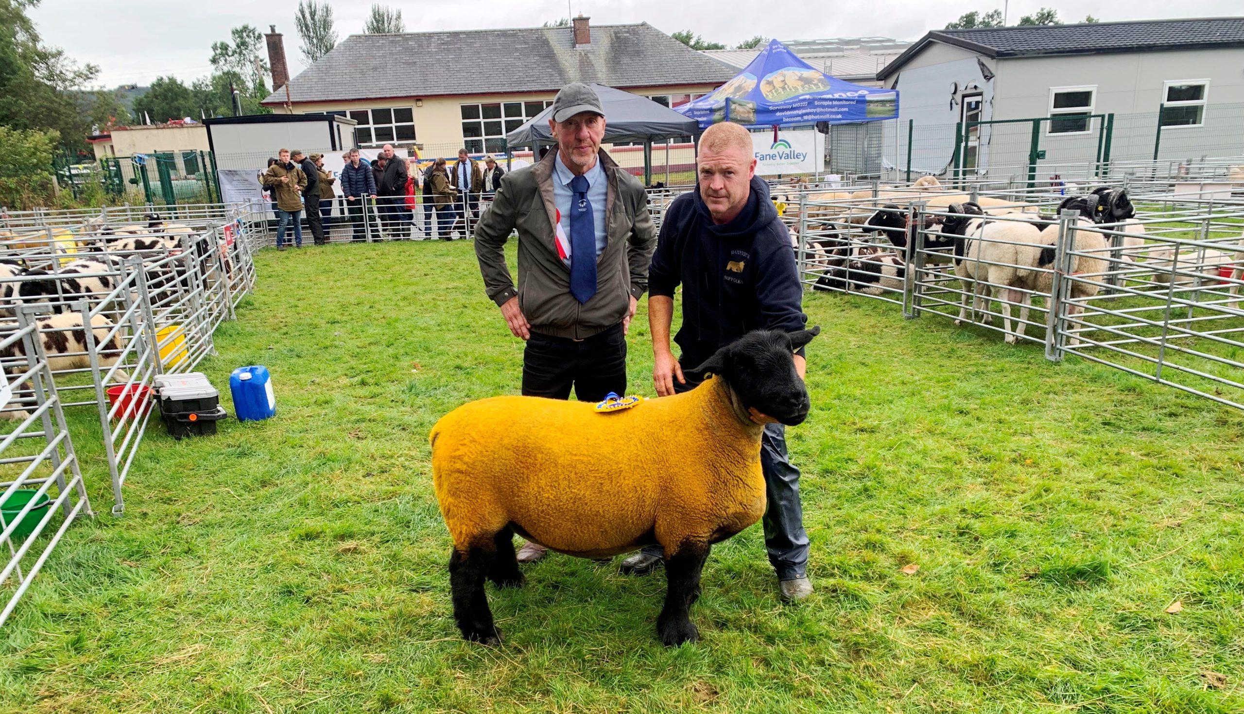 Elite dairy cow catches the eye at Clogher Show 2026