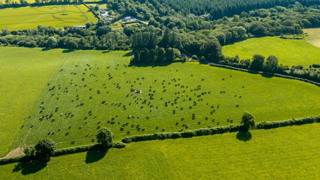 Investing in efficiency and the future of dairy farming in Wexford