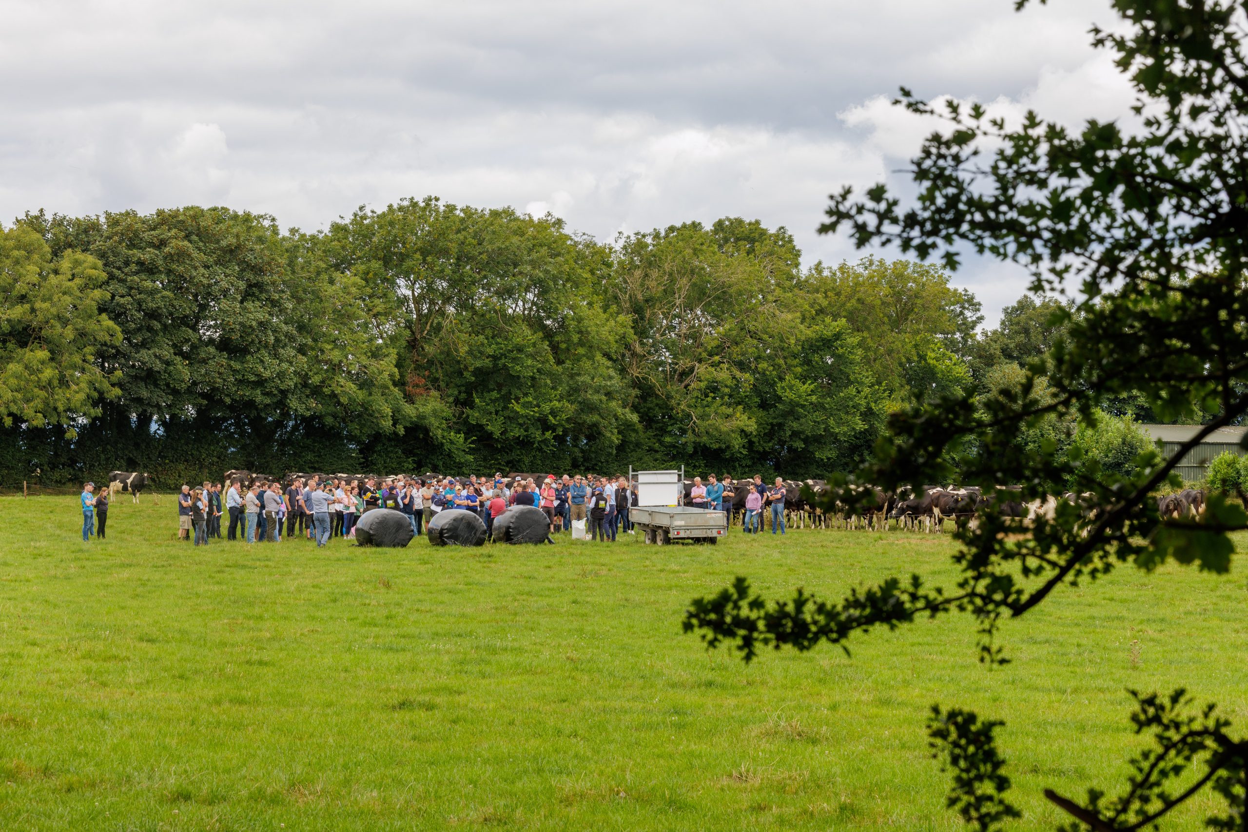 Dairy focus: Maintaining performance during the drought in Wexford