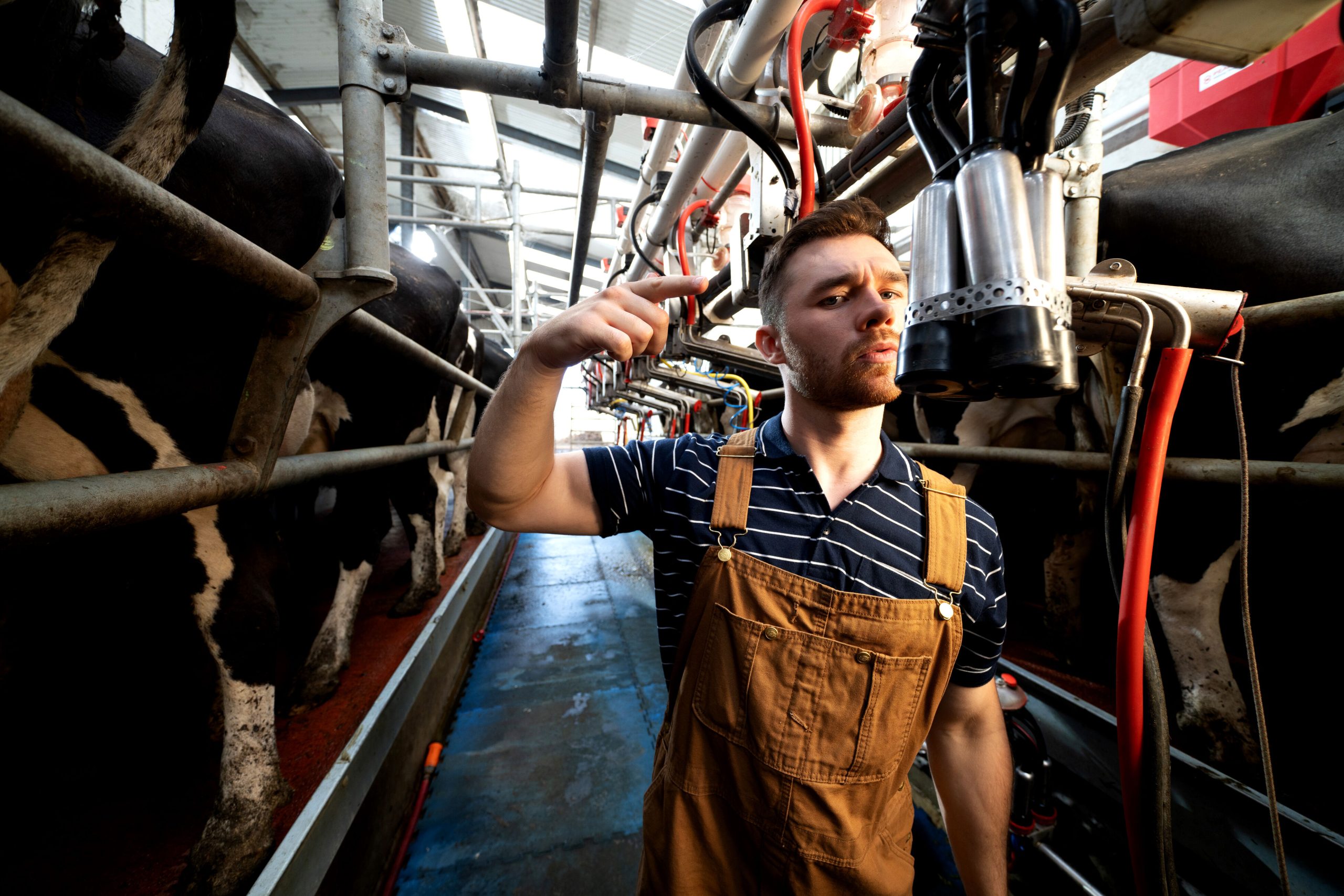 Watch: Meet ‘The Grazin’ Squad’ – connecting young people to farming