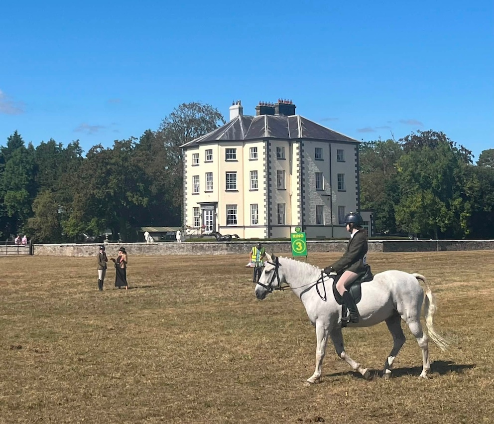 Irish horses shine as bitless show classes put horsemanship first