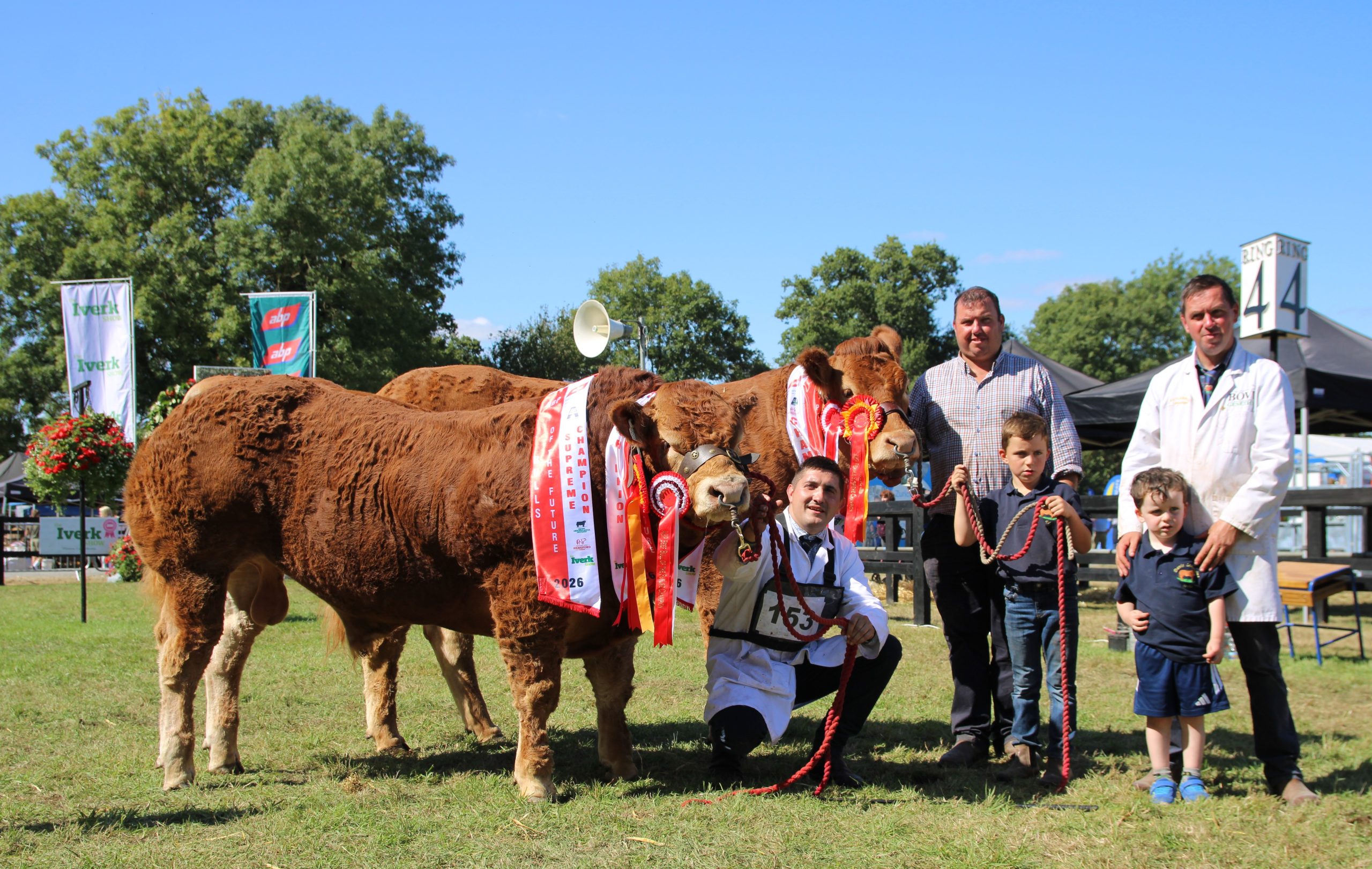 Limousin bull crowned supreme champion at 200th Iverk Show