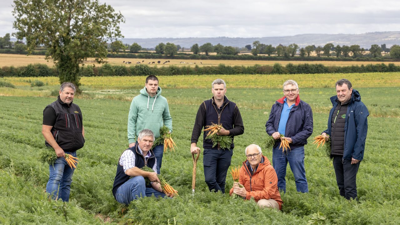 Would you pay 6c more for a carrot to ensure Irish growers remain viable?