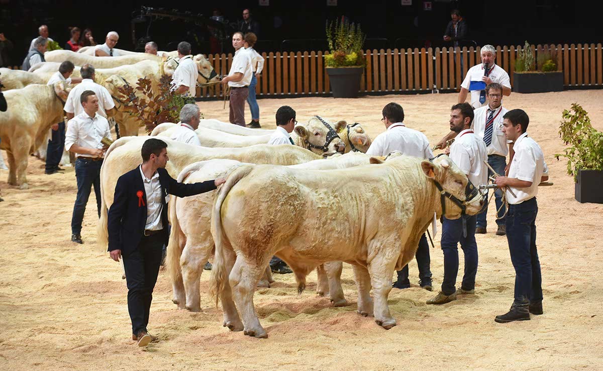 Sommet de l’Élevage 2026: 4 days at heart of Europe’s livestock industry