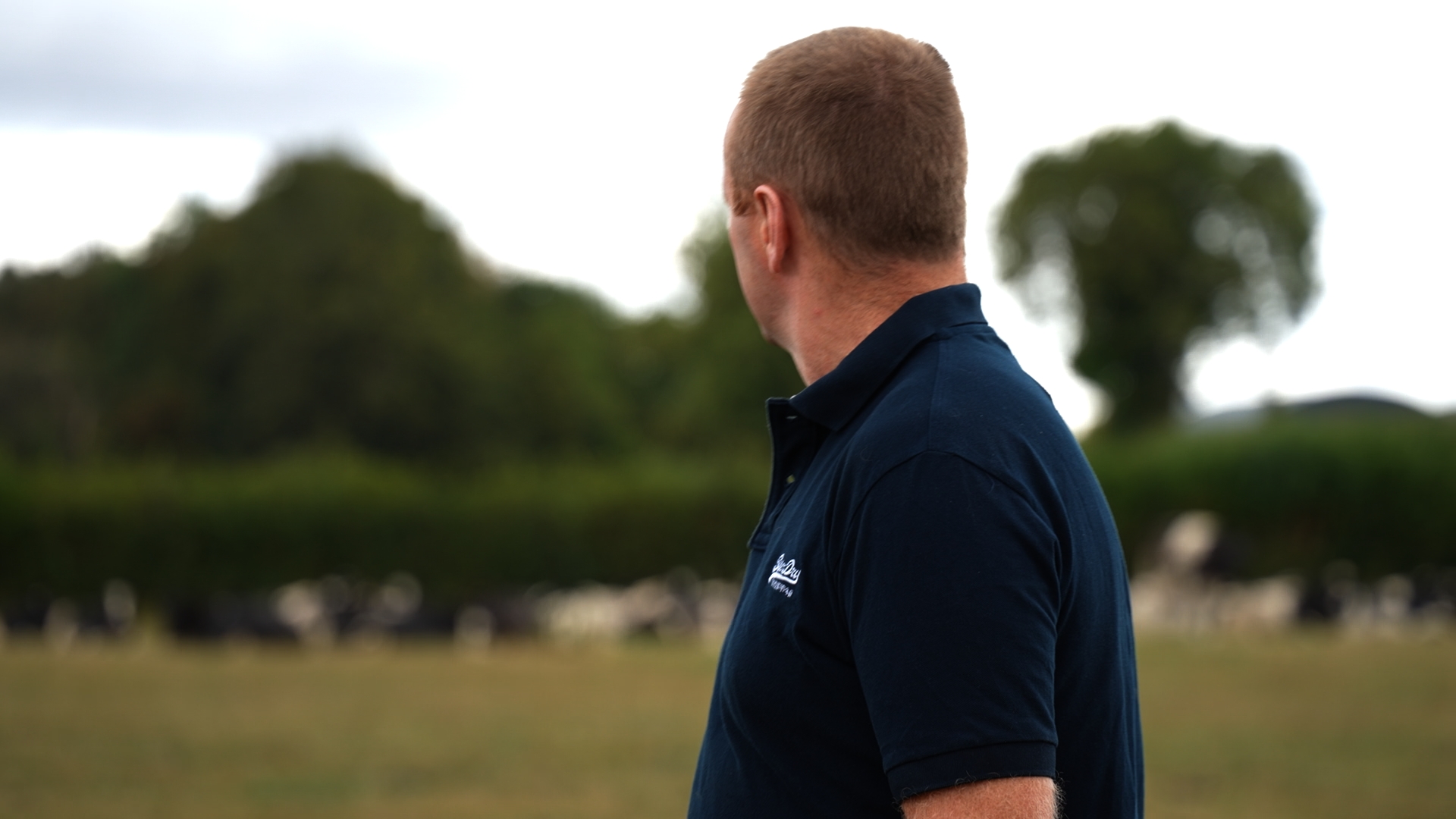 Video: ‘We need to move now’ and act before fodder survey results