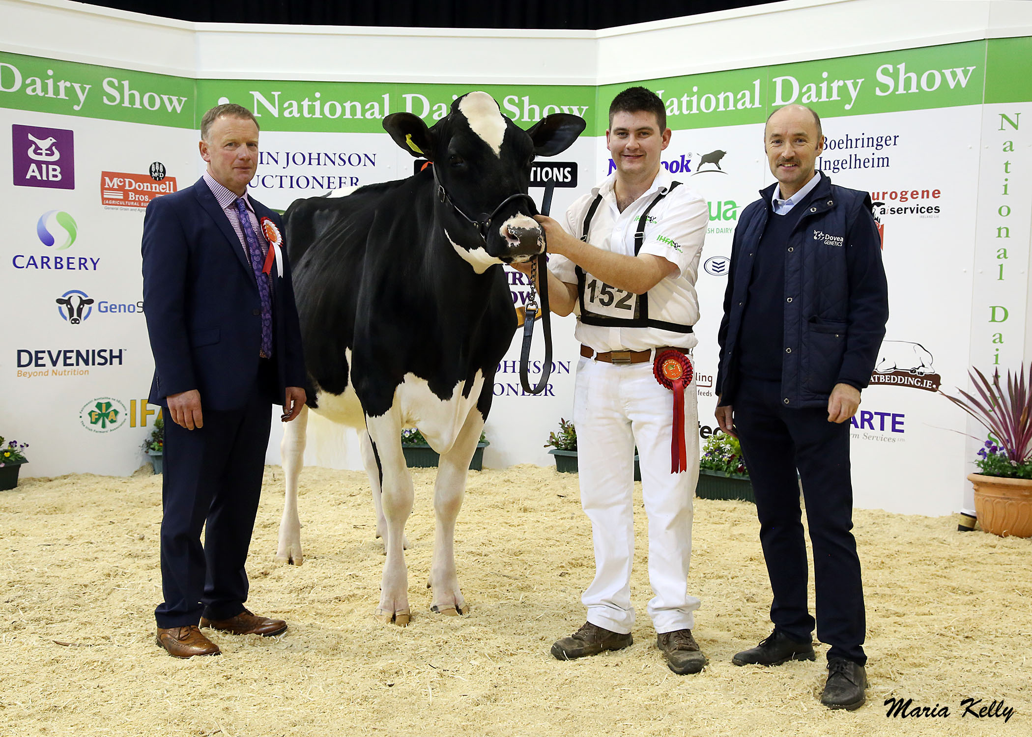 Who is judging the dairy classes at Tullamore Show?