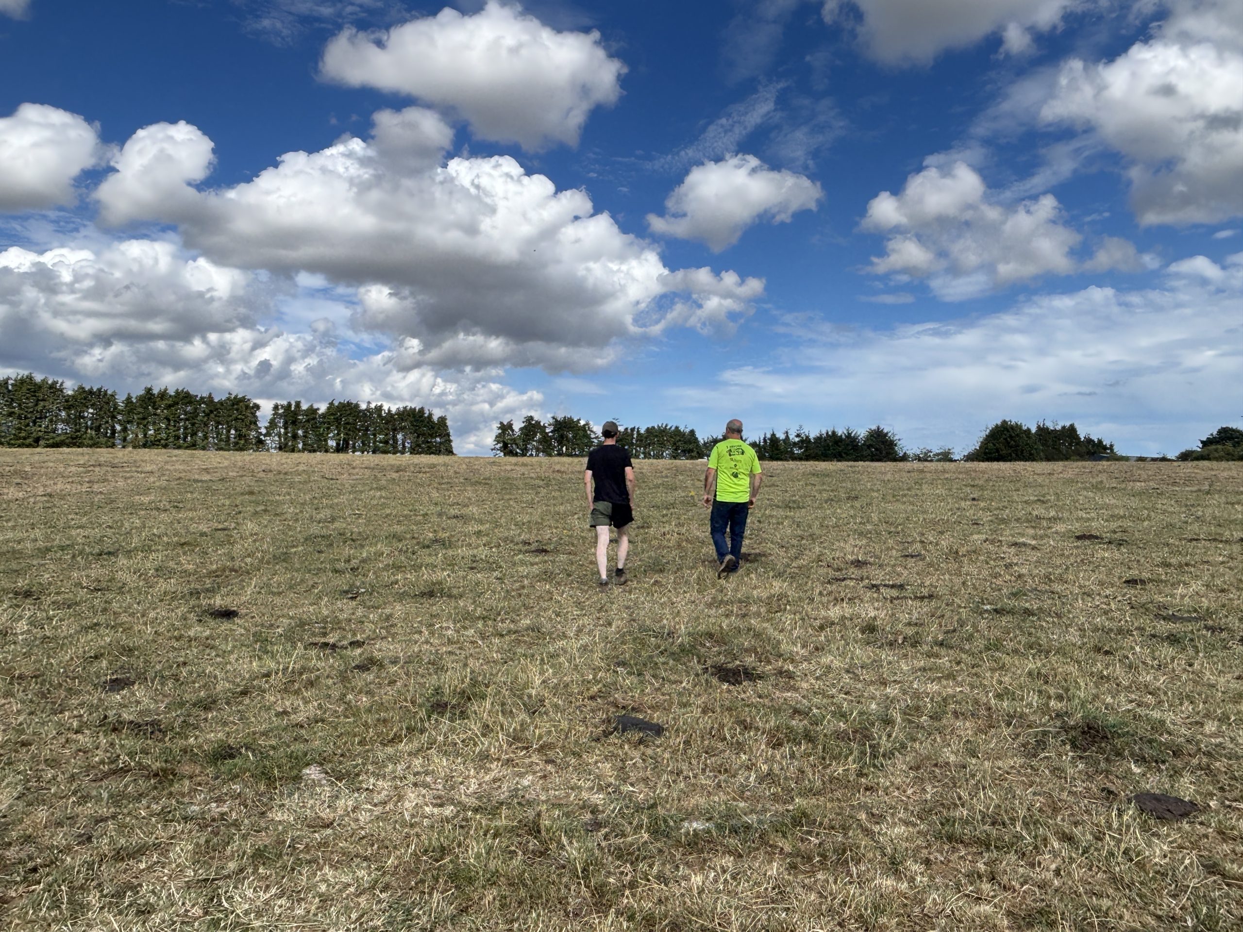 €960 a day to feed a dairy farm: The cost of drought in the south-east