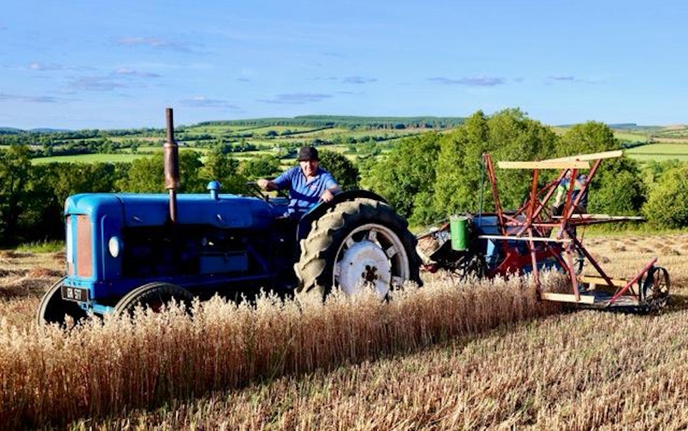 Threshing festival to showcase agricultural heritage