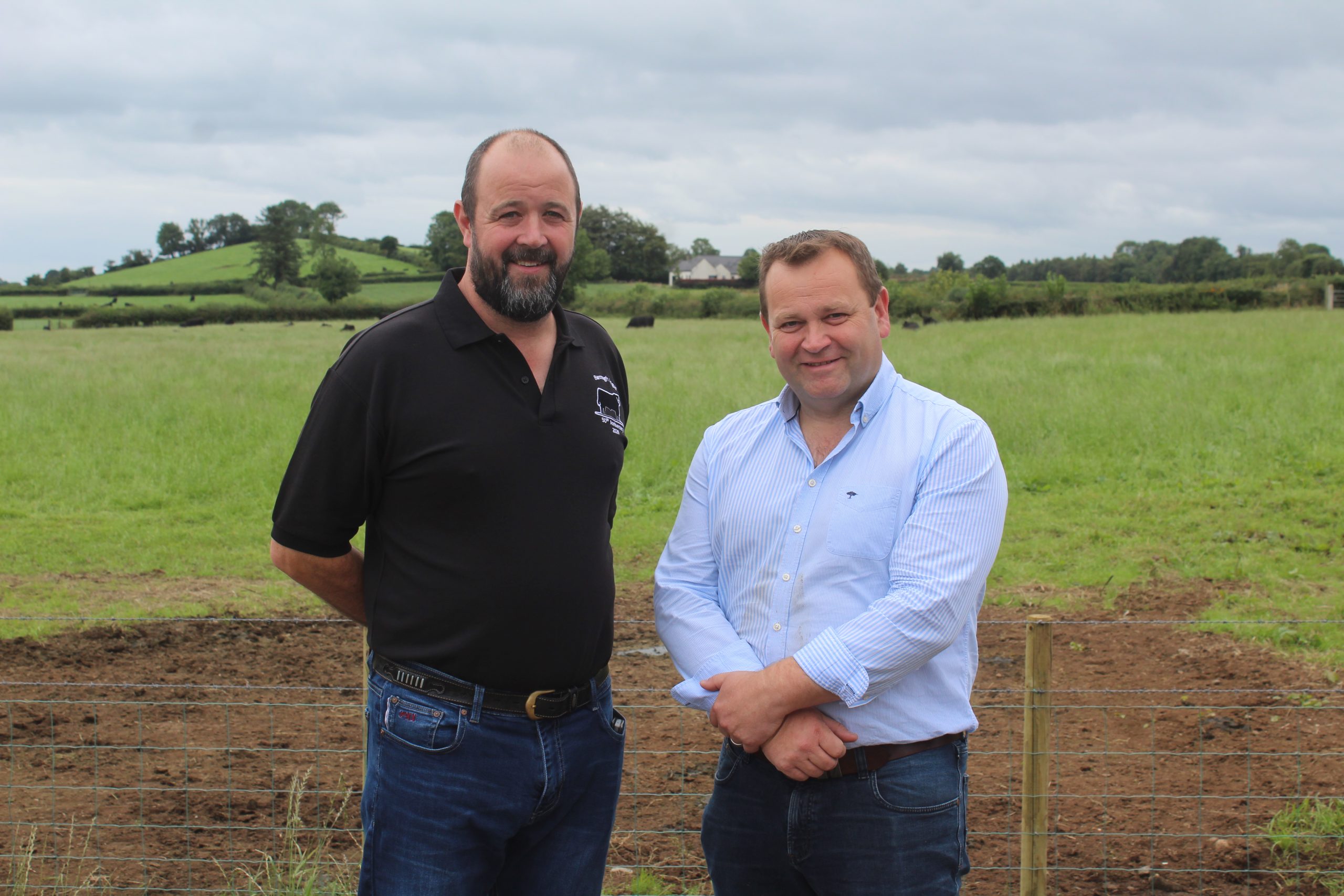 Aberdeen-Angus breeders go back to their roots