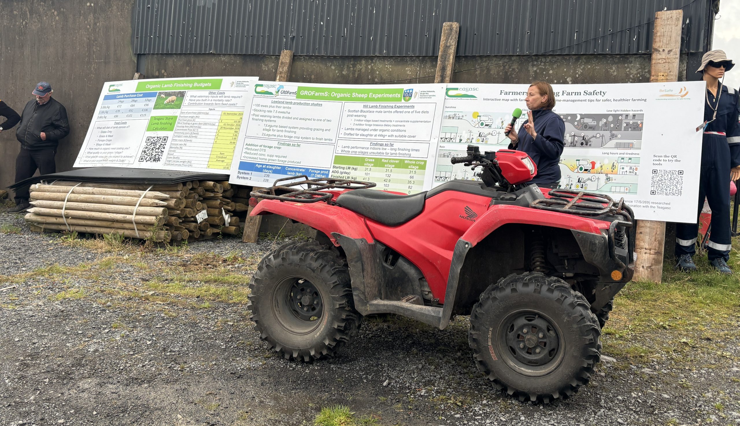 Watch: West Mayo sheep farmer hosts organic lamb finishing event