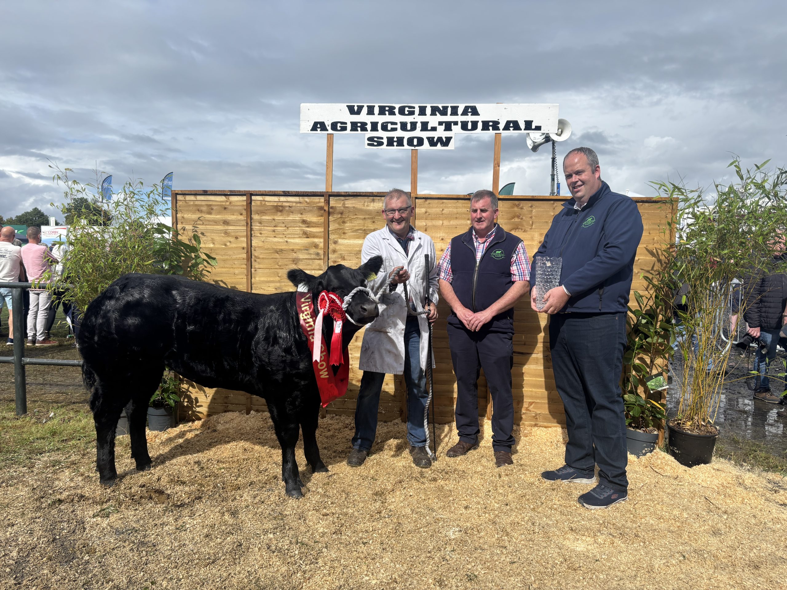 Gallery: Virginia Agricultural Show winners from the beef breed classes