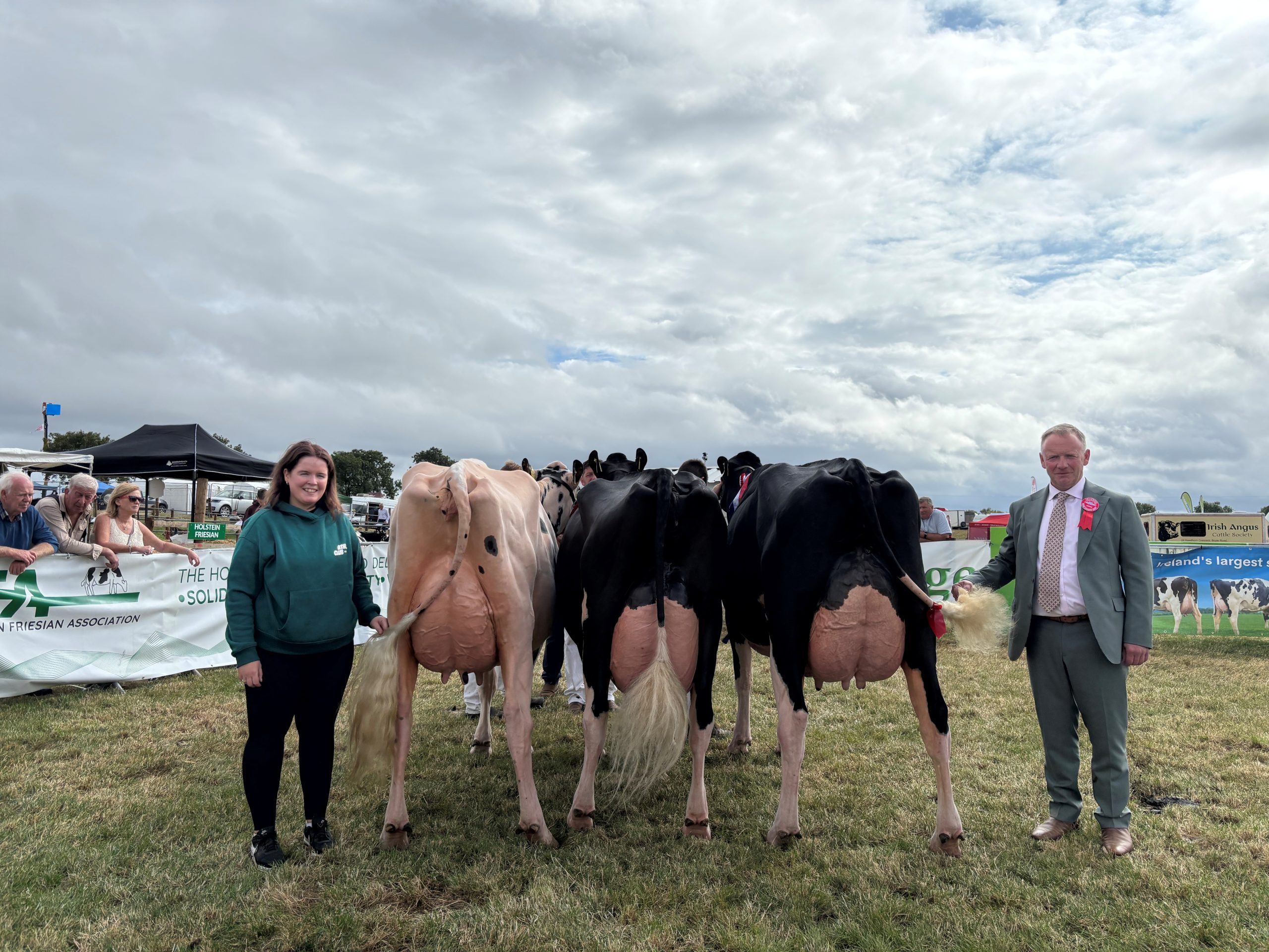 Tullamore Show: Coolroehouse Abbott Ann tapped out as champion