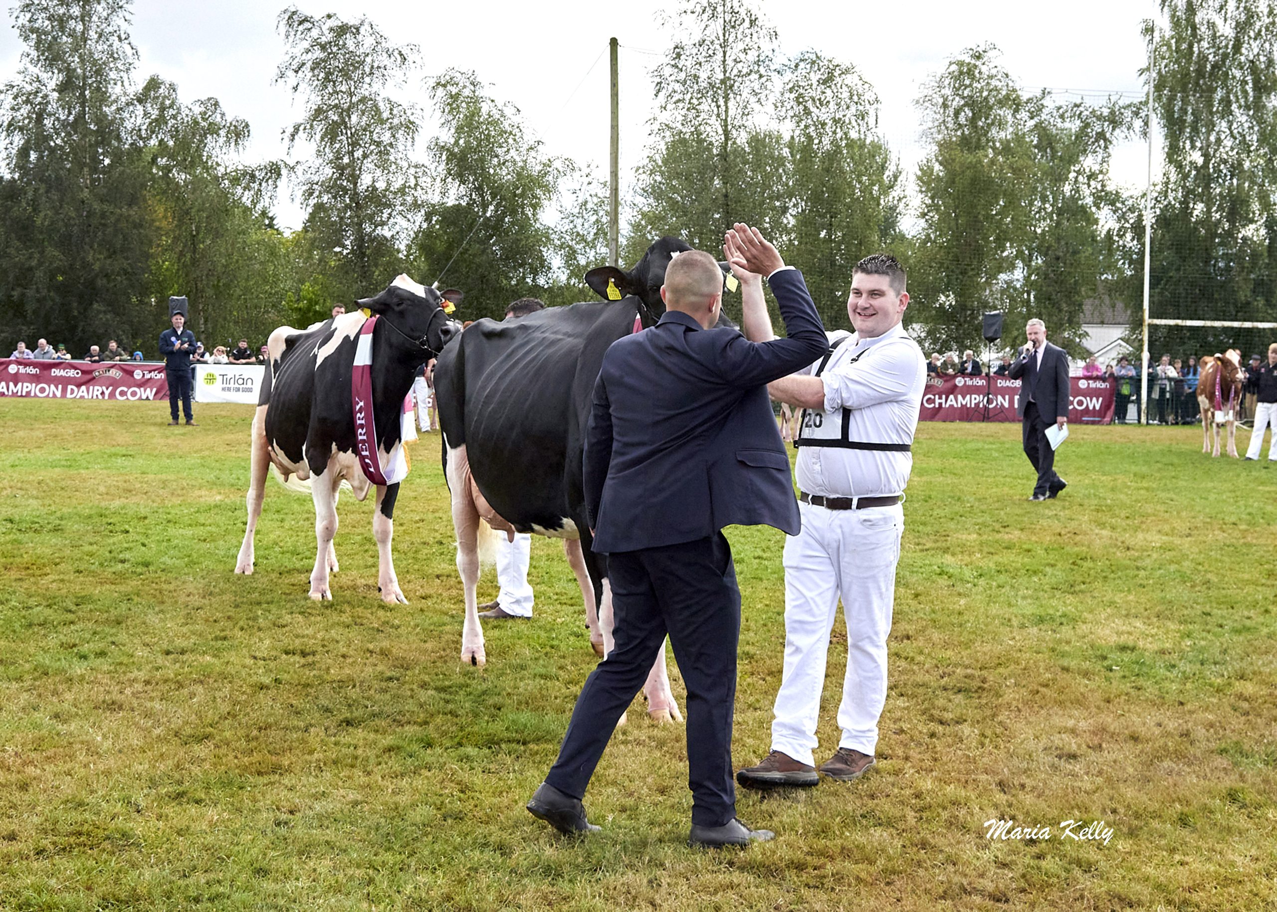 Watch: Prize cow creates ‘dream’ year for Cork exhibitor duo