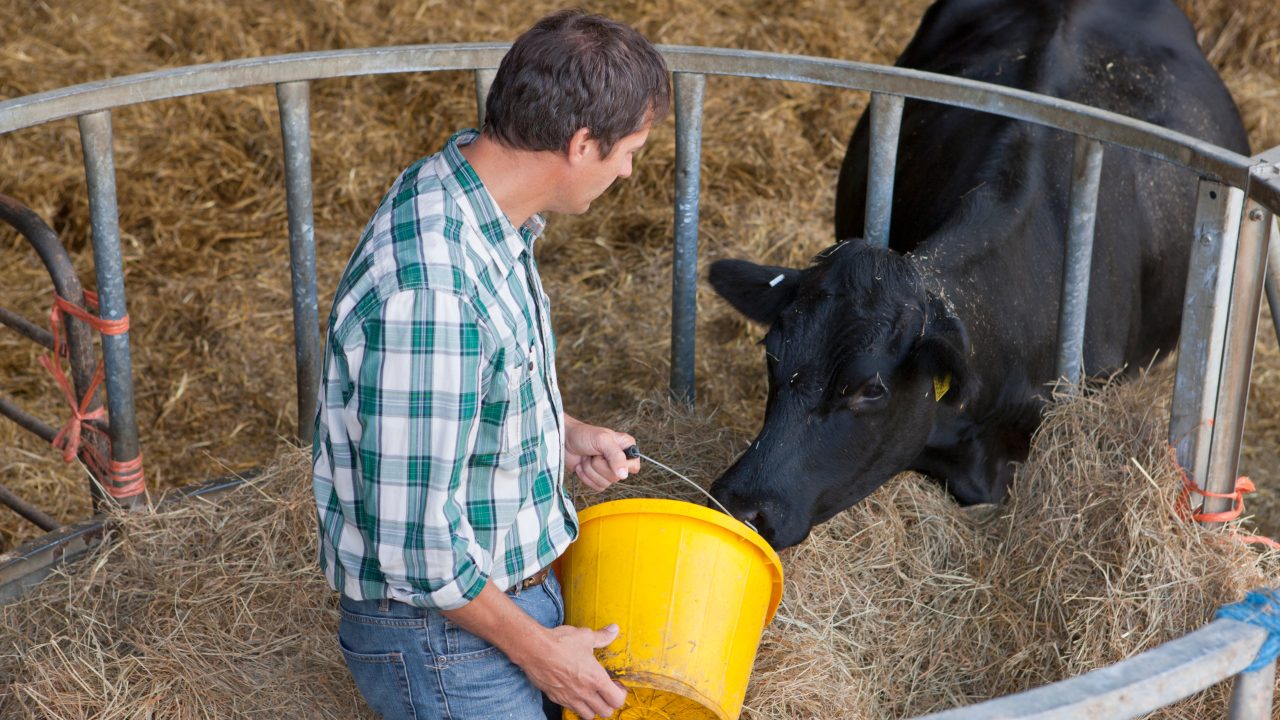 Sinn Féin: Irish agriculture ‘facing a crisis' on multiple fronts