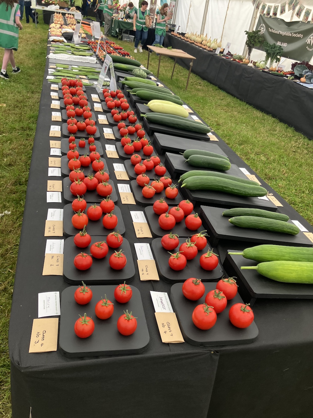 Championships set to showcase the best of Irish vegetables
