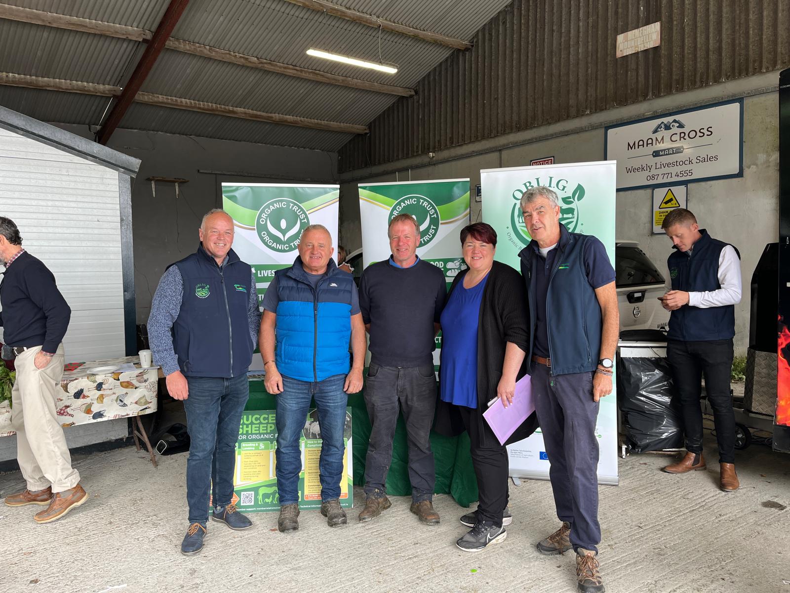 How were prices at the new Maam Cross sale for organic sheep producers?