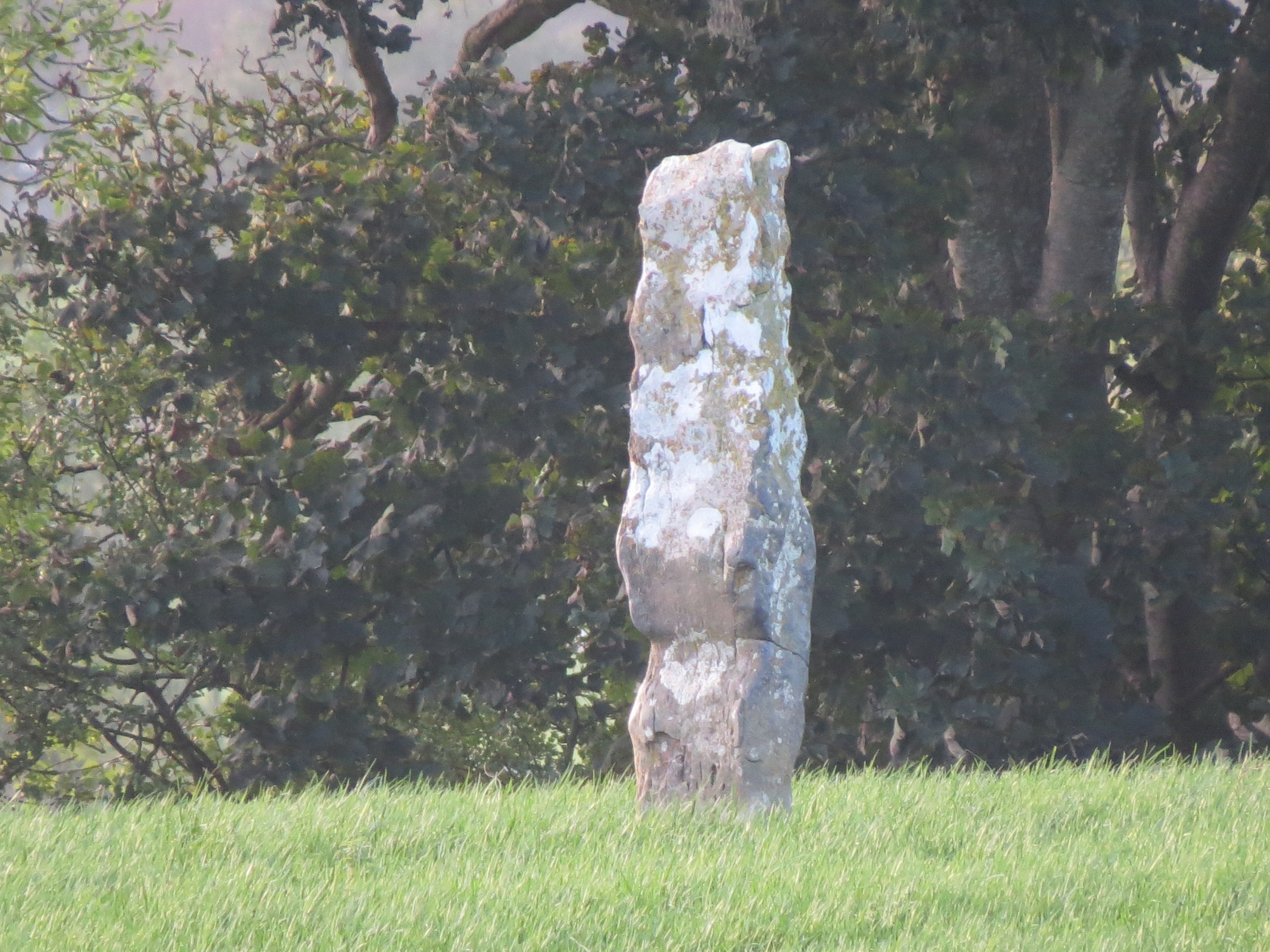 Roscommon project aims to stop ancient field names from disappearing