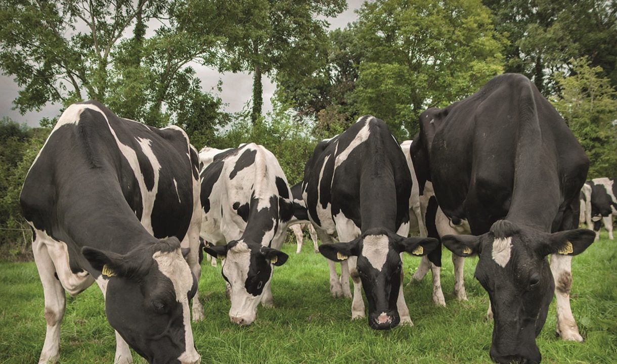 Farmers in north invited on nutrient 'study tour' in Wexford