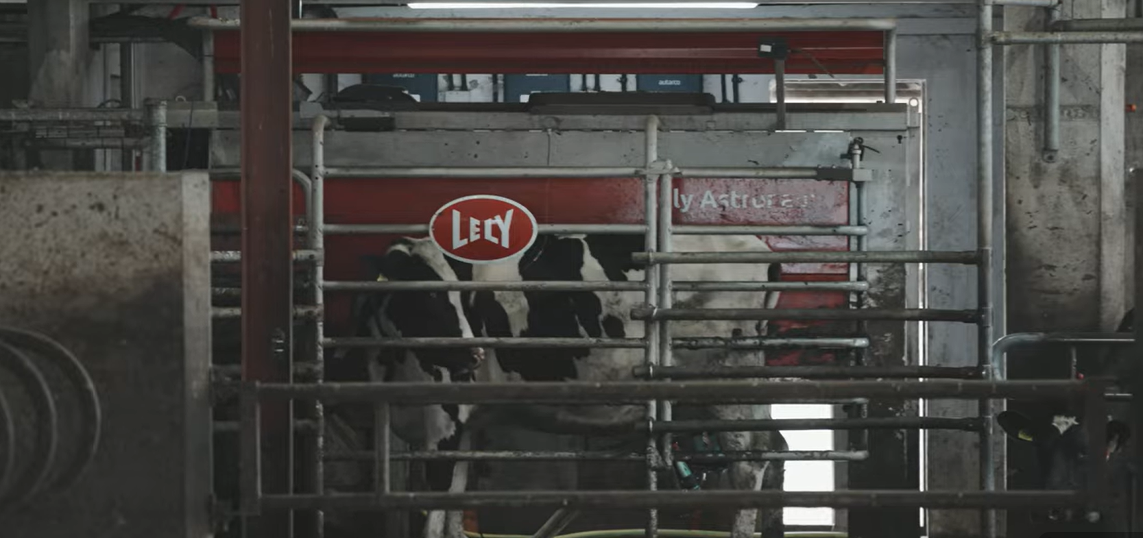 Offaly dairy farm extends grazing season with Lely Grazeway