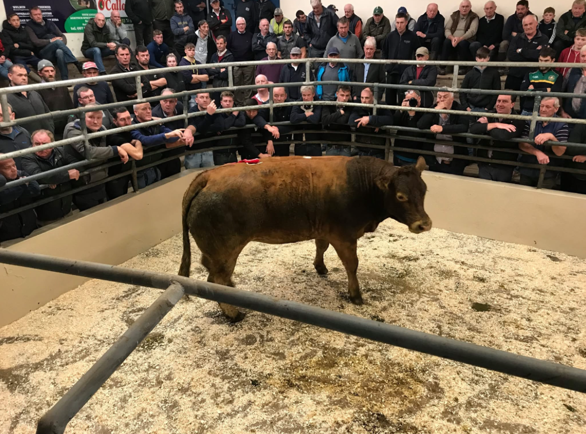 Sixmilebridge: 15 years on since 630 people with €500 bought the mart