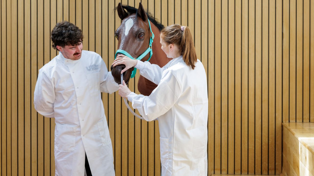 Veterinary medicine arrives at SETU with first class of 40 places