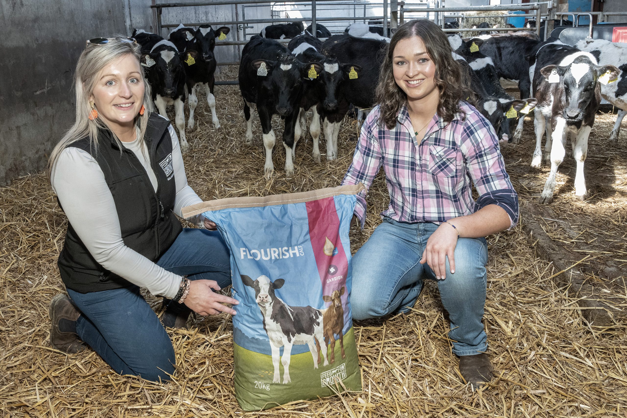 Building better cows from Day 1 on a Limerick dairy farm