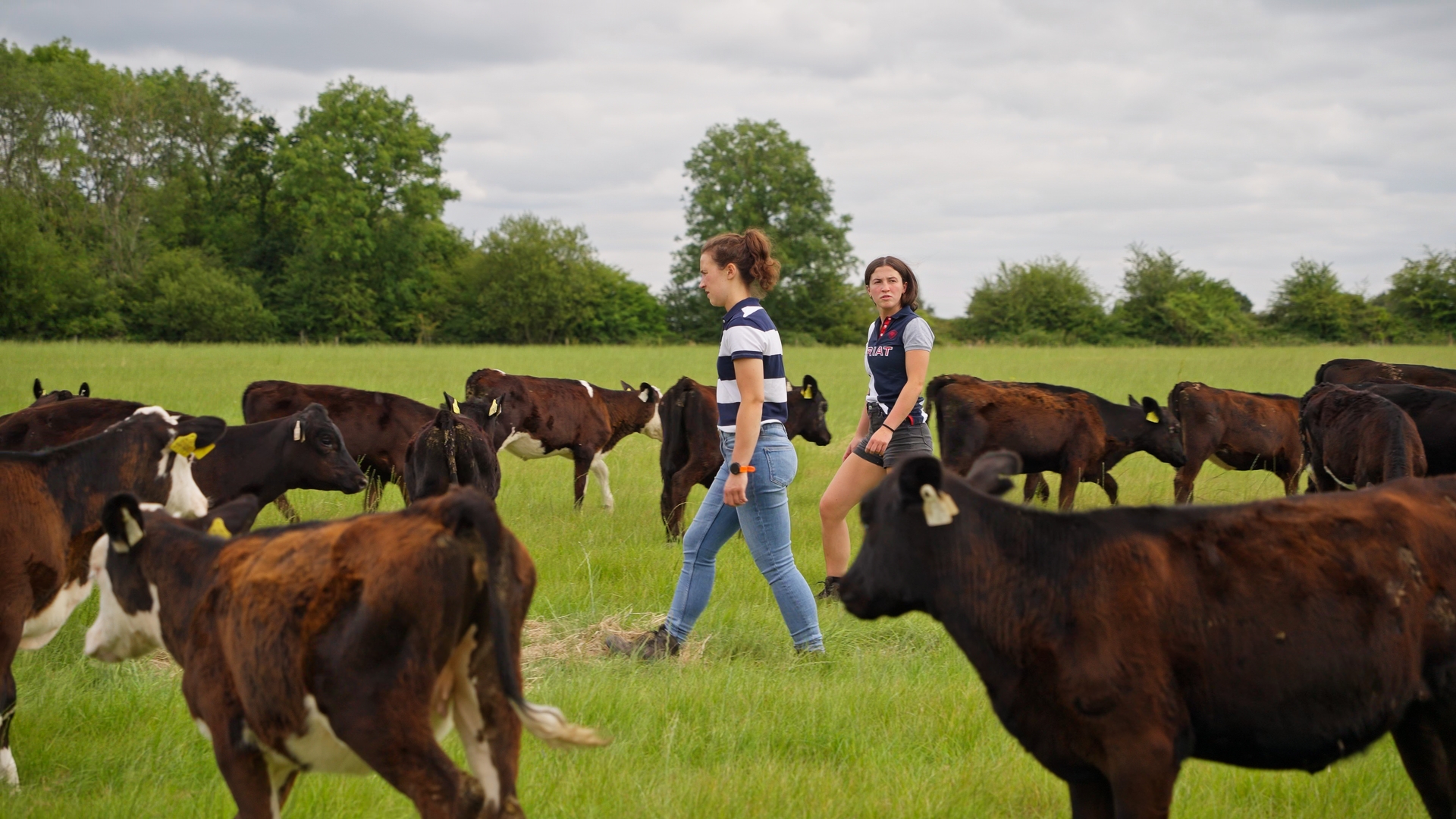 Watch: Meet the Limerick sisters marking 30 years of family butcher business