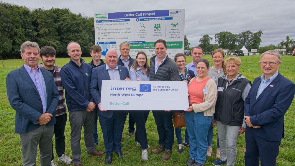 Irish-led project aims to transform dairy-beef farming