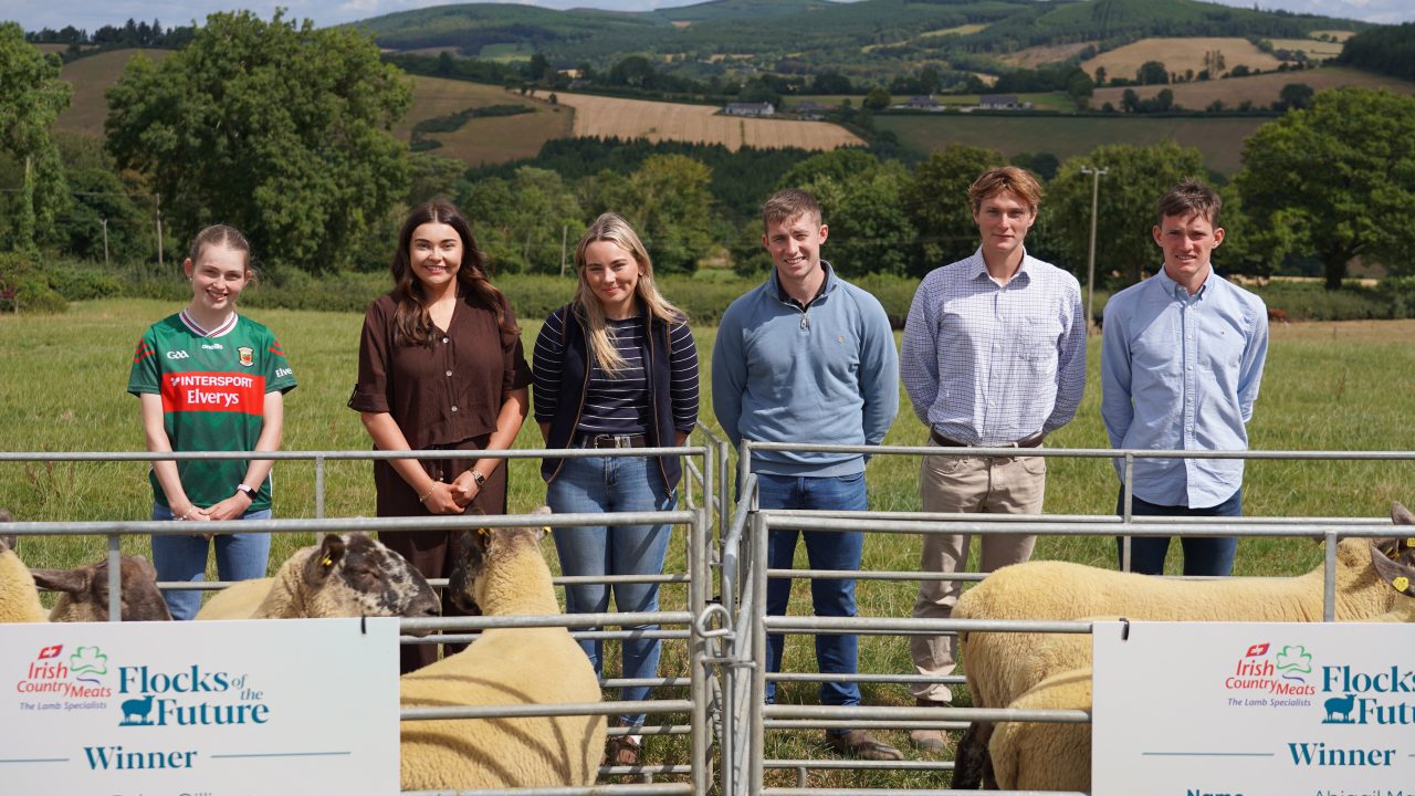 Who are the 2026 ICM Flocks of the Future winners?